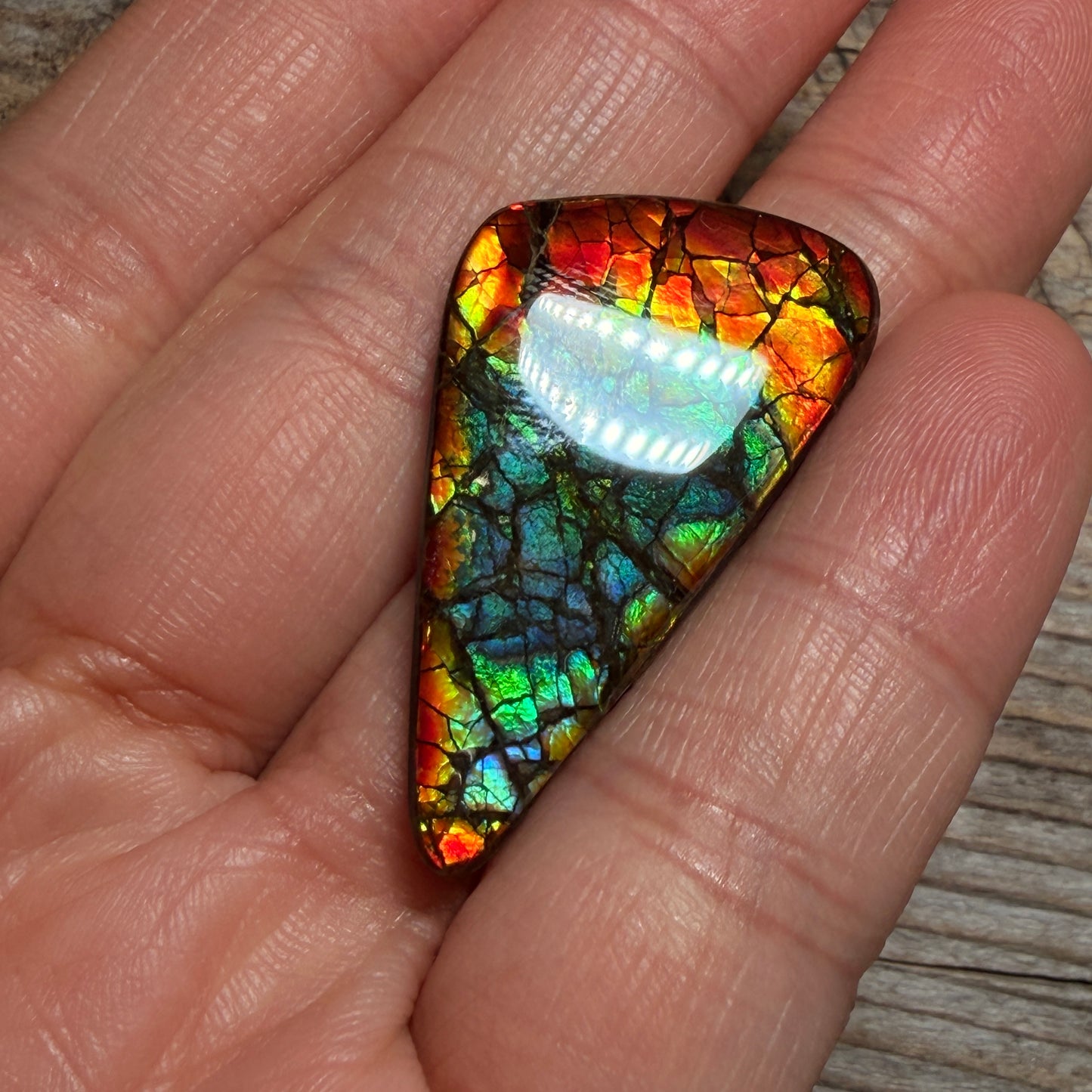 Multicoloured Ammolite Gemstone, Freeform Cabochon, Dragon Skin Pattern