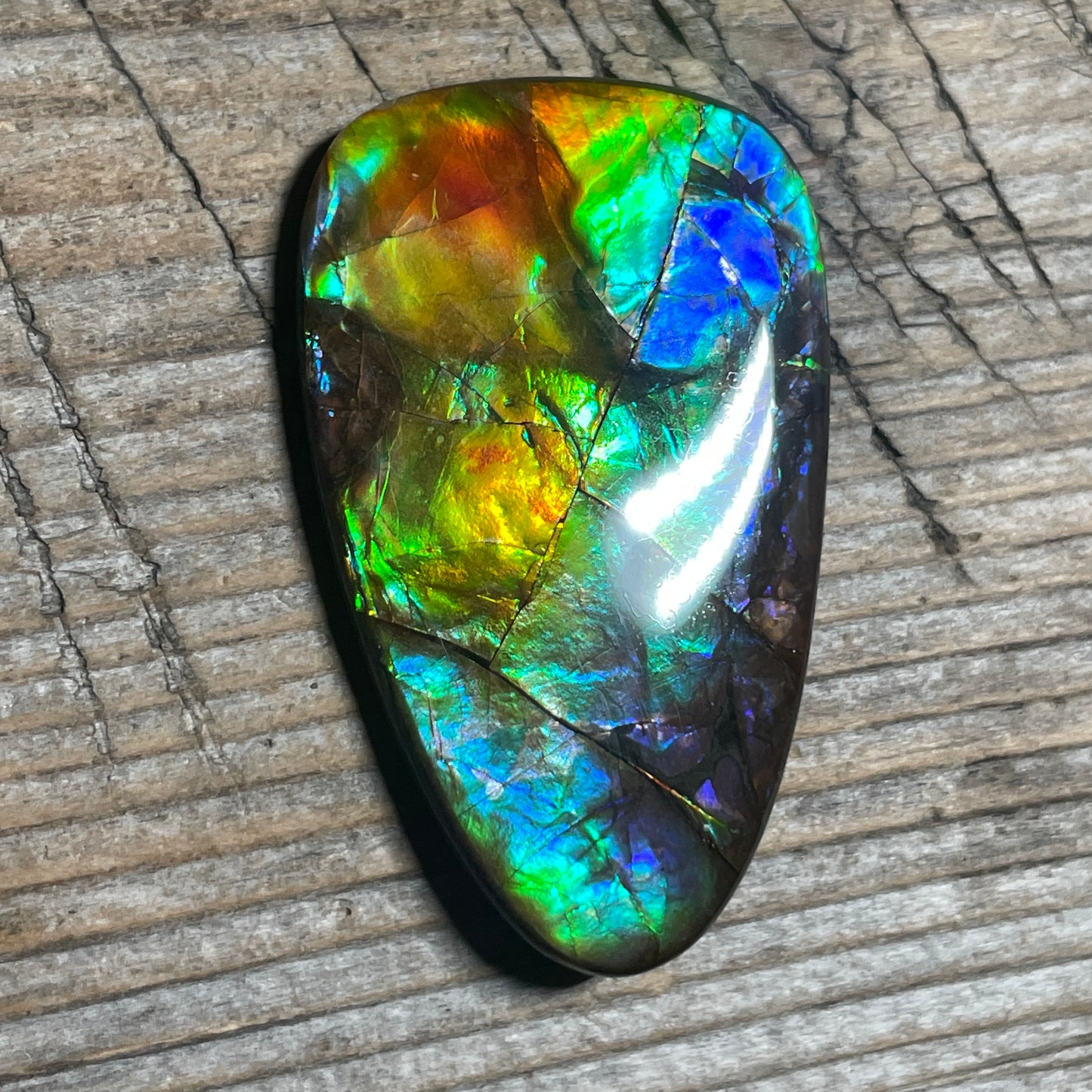 Multicoloured Ammolite Cabochon, Genuine Canadian Ammonite Fossil Jewelry