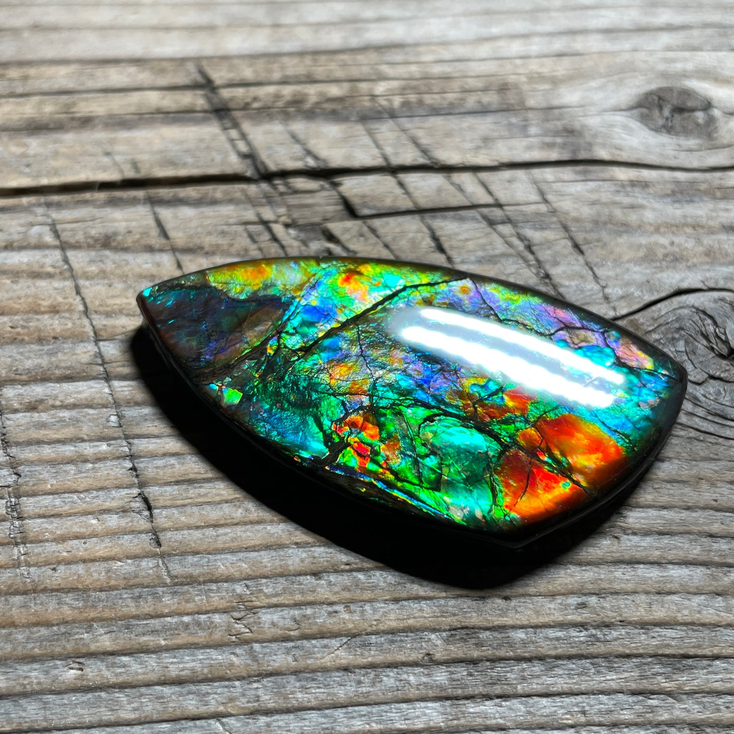 Floral Ammolite Gemstone, Freeform Cabochon, Canadian Ammonite Fossil