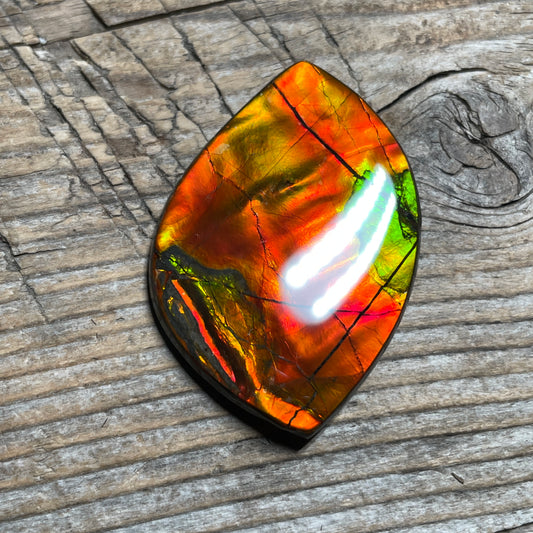 Bright Golden Red Ammolite Cabochon, Loose Gemstone, Genuine Canadian Ammonite