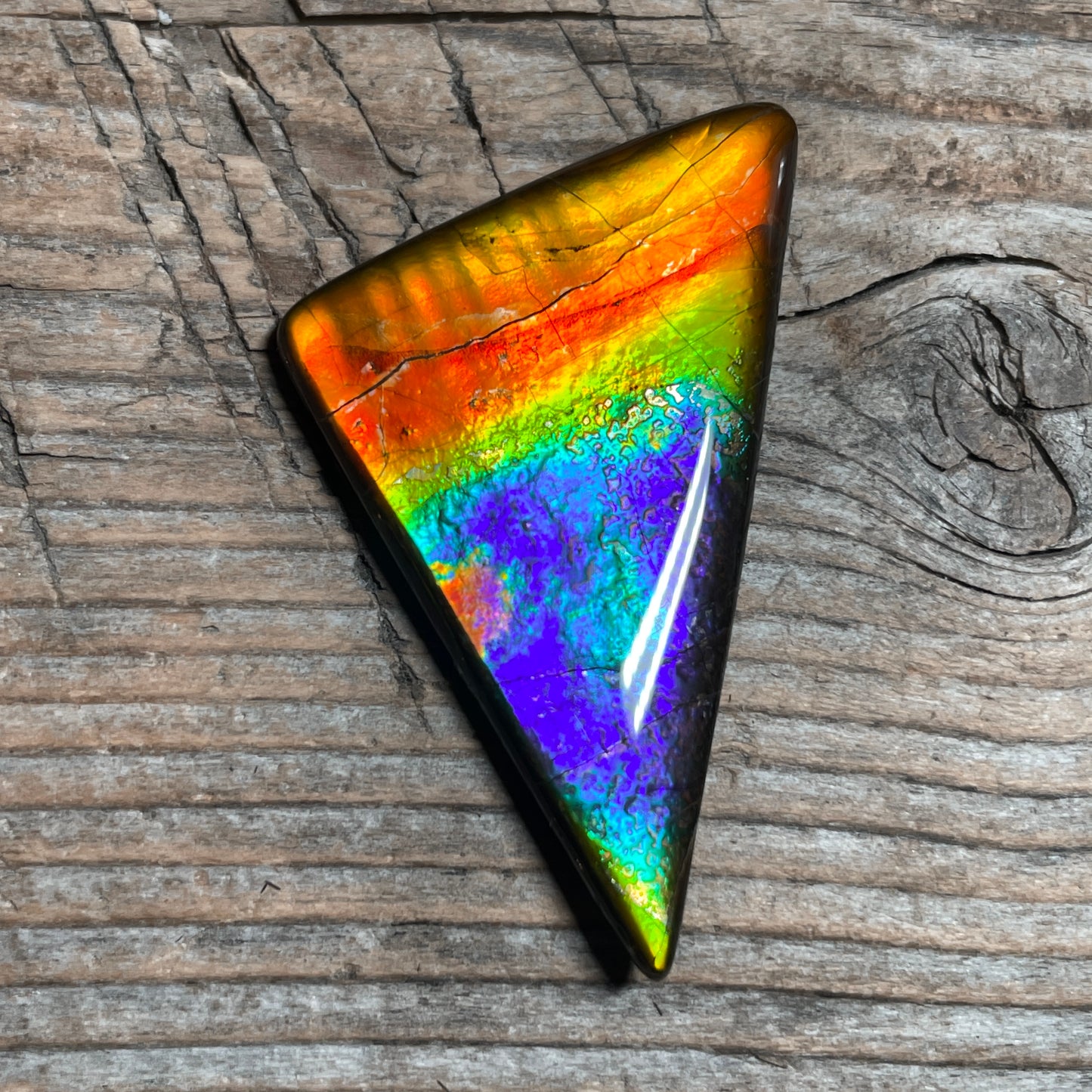 Rainbow Ammolite Gemstone, Freeform Cabochon, Canadian Ammonite Fossil