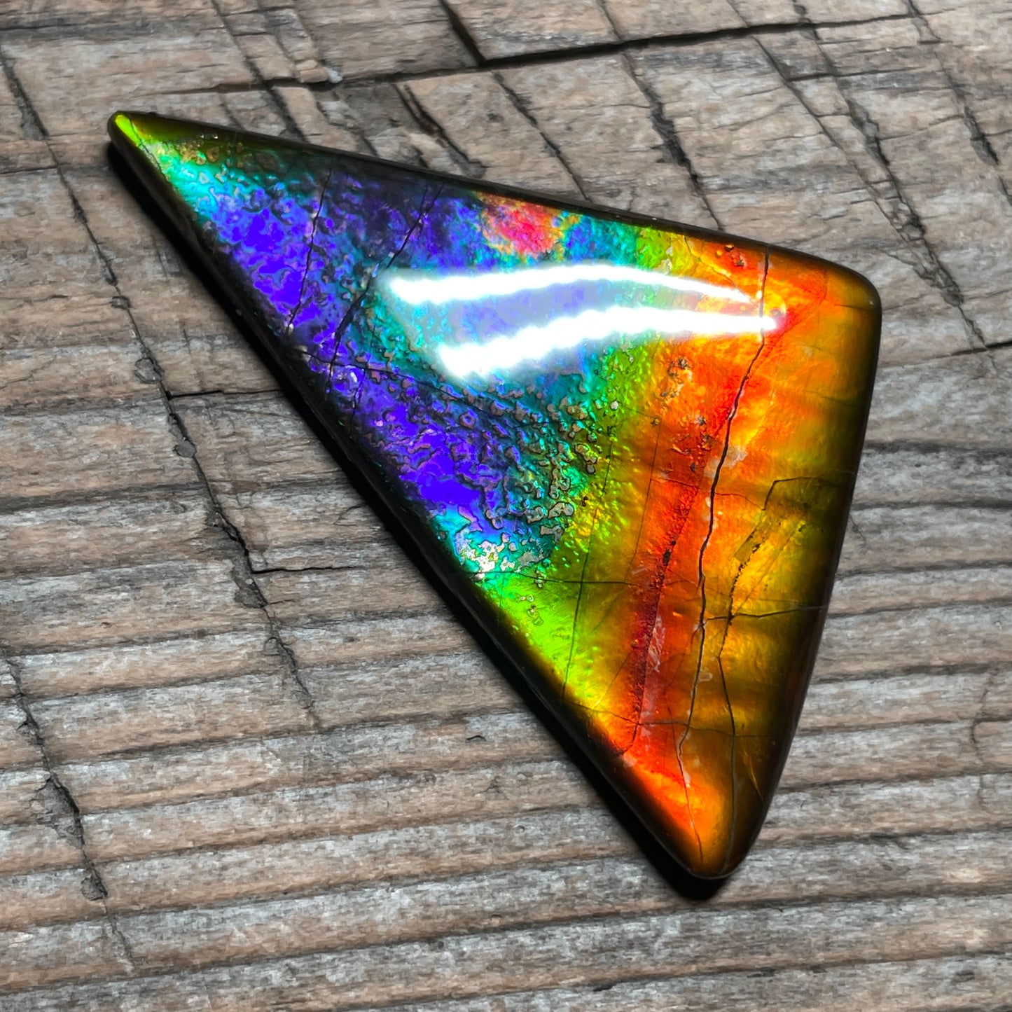 Rainbow Ammolite Gemstone, Freeform Cabochon, Canadian Ammonite Fossil