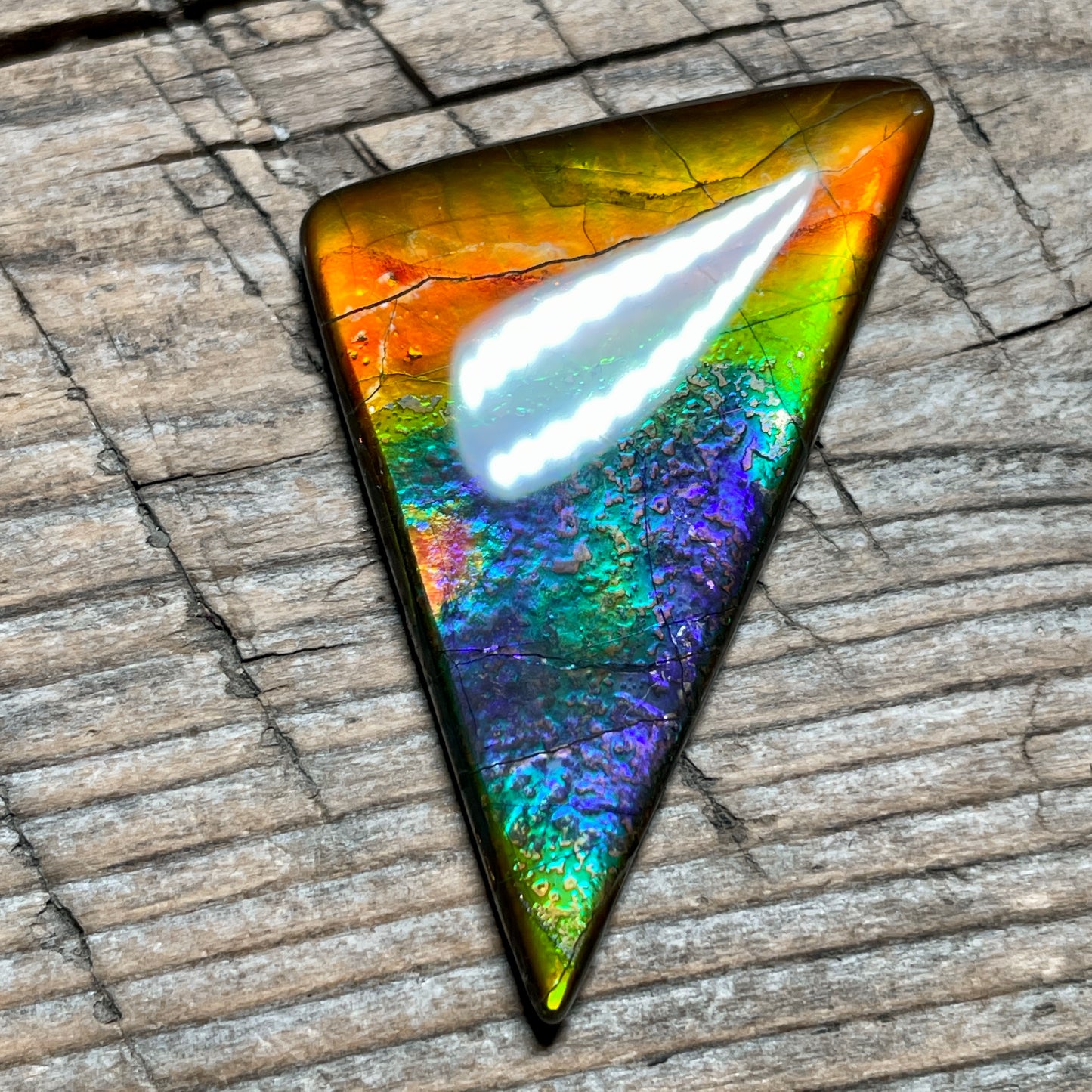 Rainbow Ammolite Gemstone, Freeform Cabochon, Canadian Ammonite Fossil