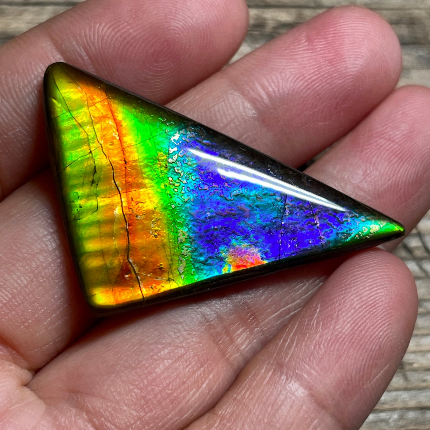 Rainbow Ammolite Gemstone, Freeform Cabochon, Canadian Ammonite Fossil