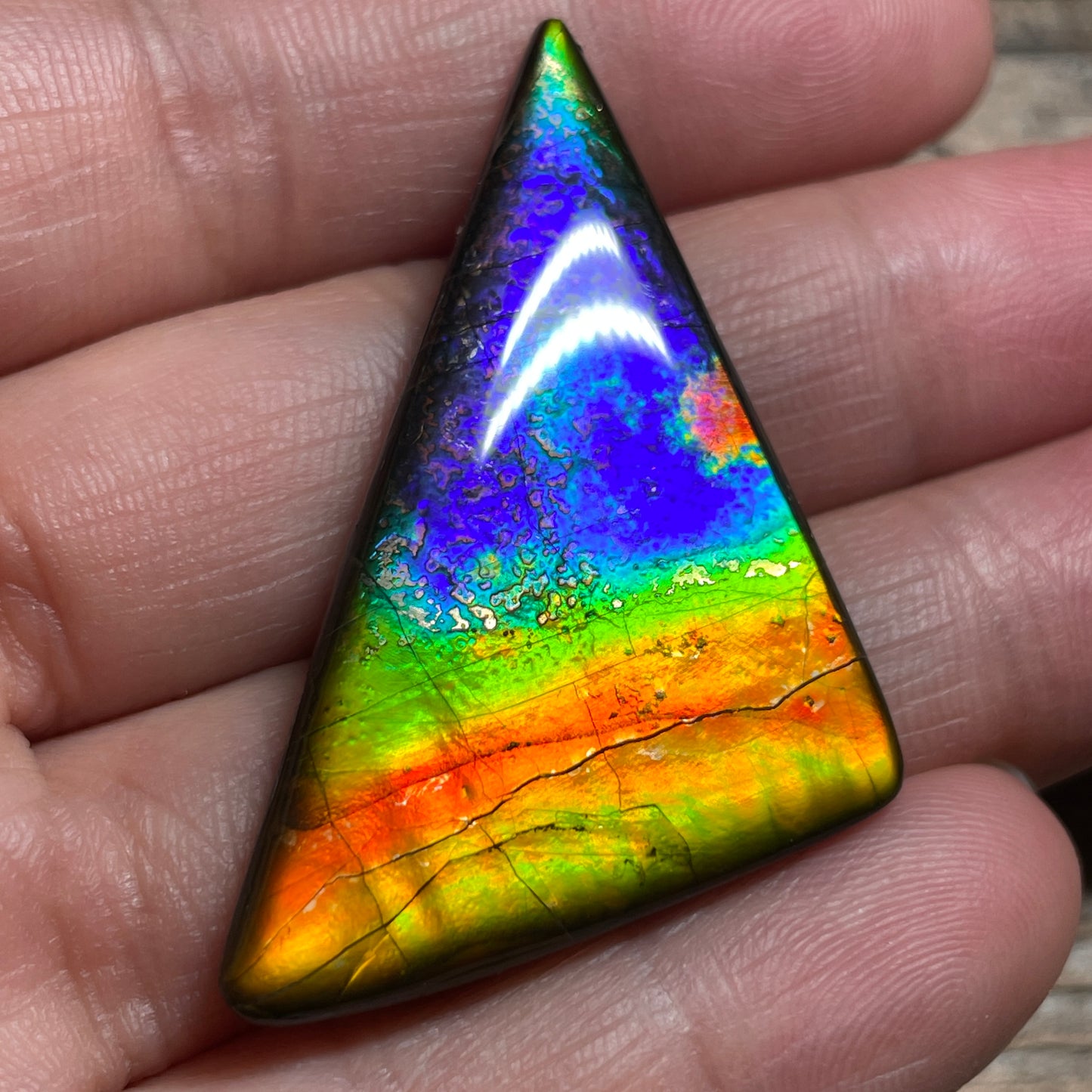 Rainbow Ammolite Gemstone, Freeform Cabochon, Canadian Ammonite Fossil