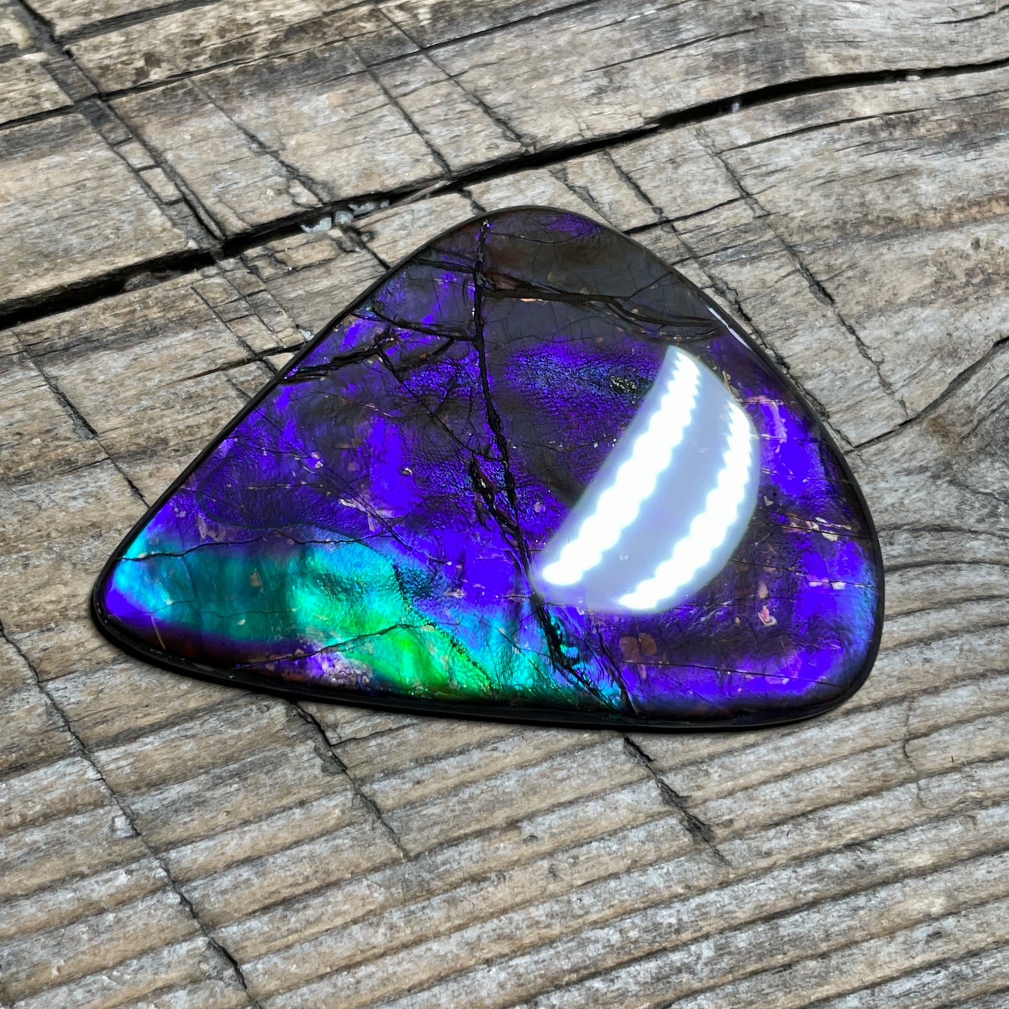 Purple Blue Green Purple Ammolite Gemstone Cabochon Freeform Canadian Ammonite FossilP