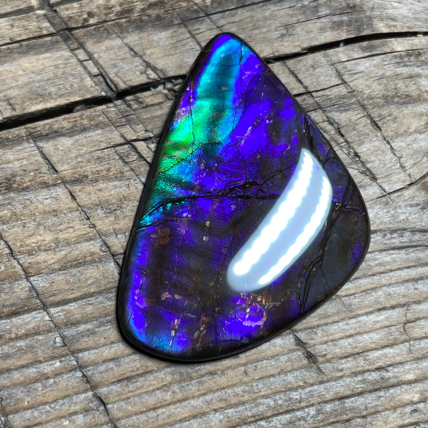 Purple Blue Green Purple Ammolite Gemstone Cabochon Freeform Canadian Ammonite FossilP