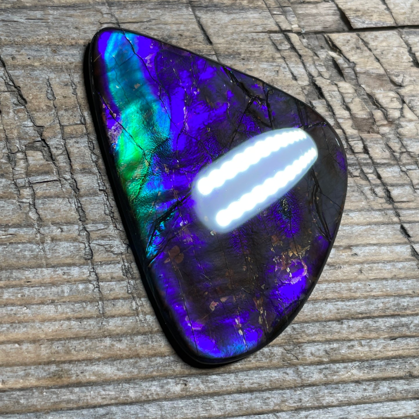 Purple Blue Green Purple Ammolite Gemstone Cabochon Freeform Canadian Ammonite FossilP