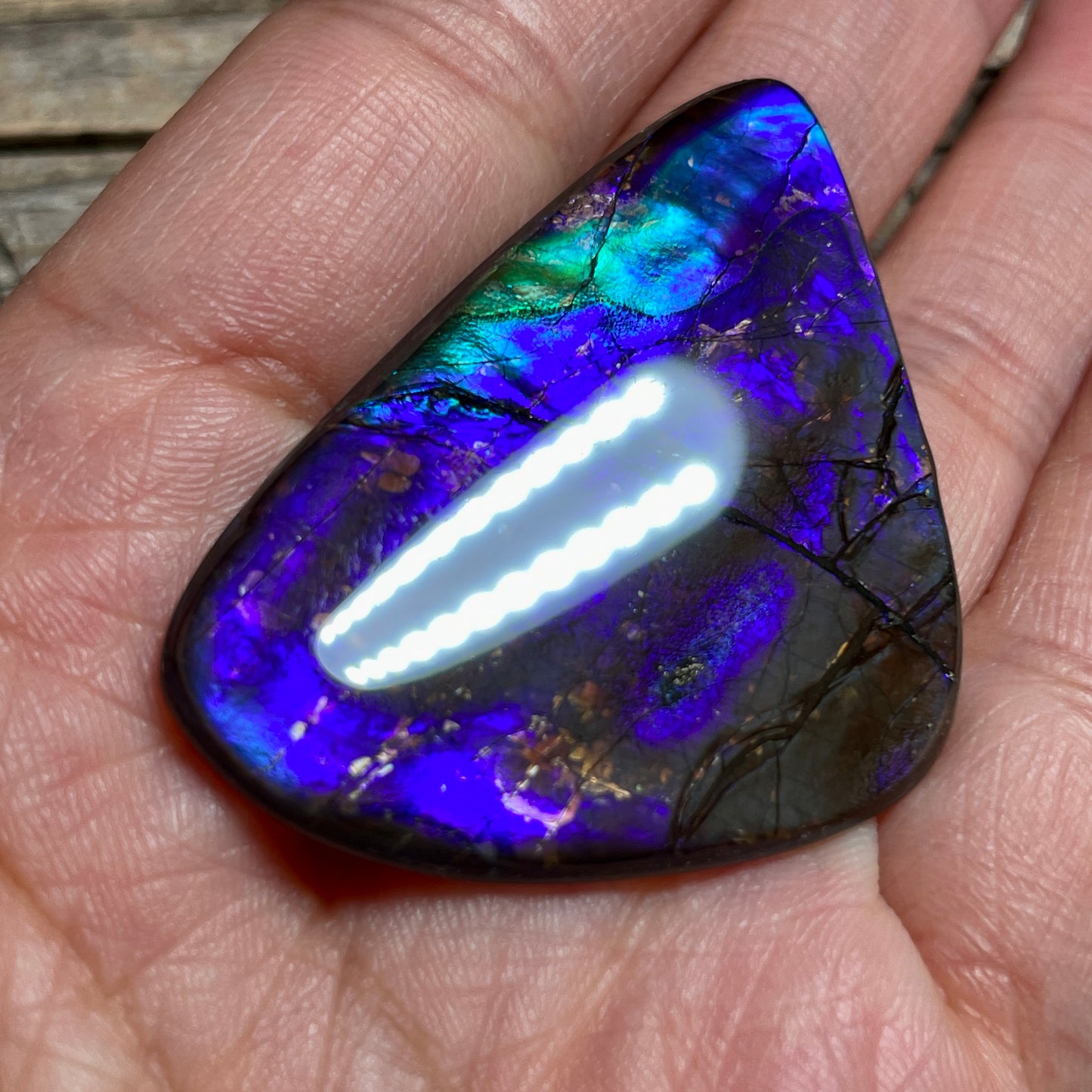 Purple Blue Green Purple Ammolite Gemstone Cabochon Freeform Canadian Ammonite FossilP