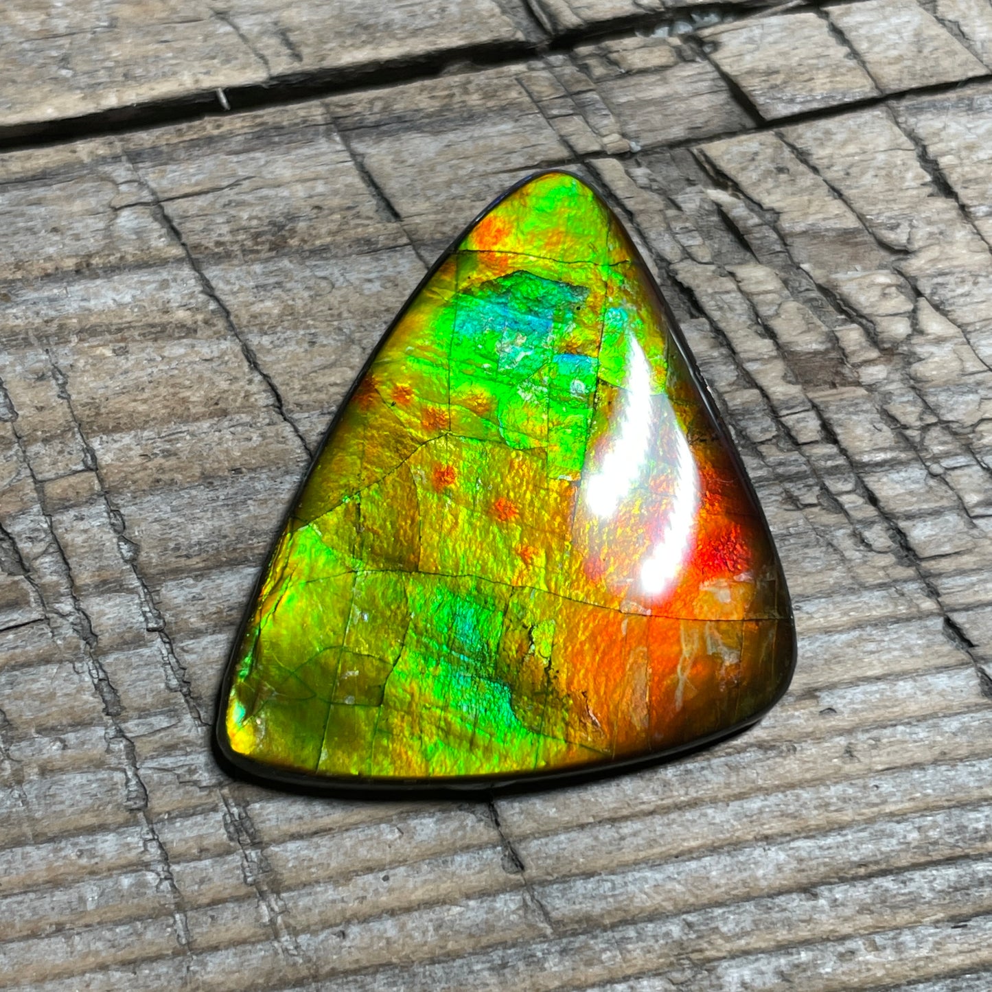Multicoloured Ammolite Cabochon, Genuine Canadian Ammonite