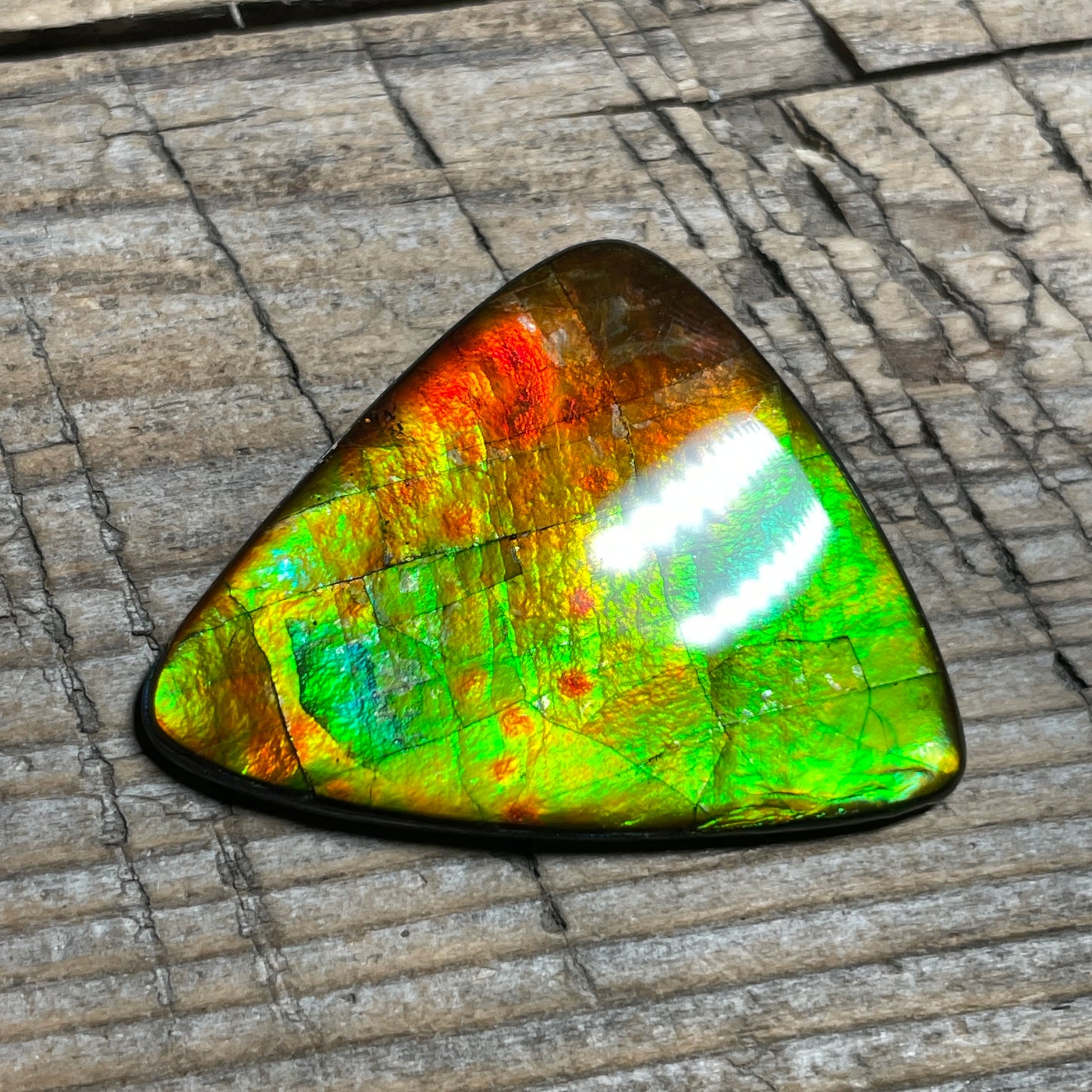 Multicoloured Ammolite Cabochon, Genuine Canadian Ammonite