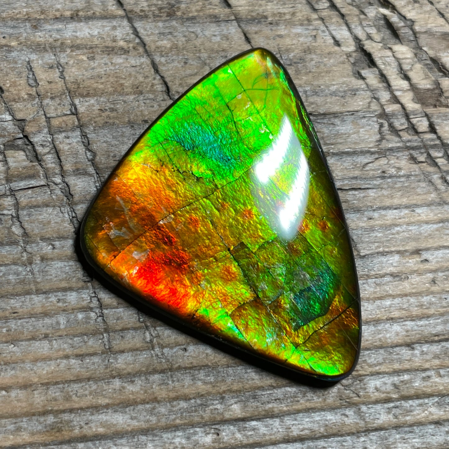 Multicoloured Ammolite Cabochon, Genuine Canadian Ammonite