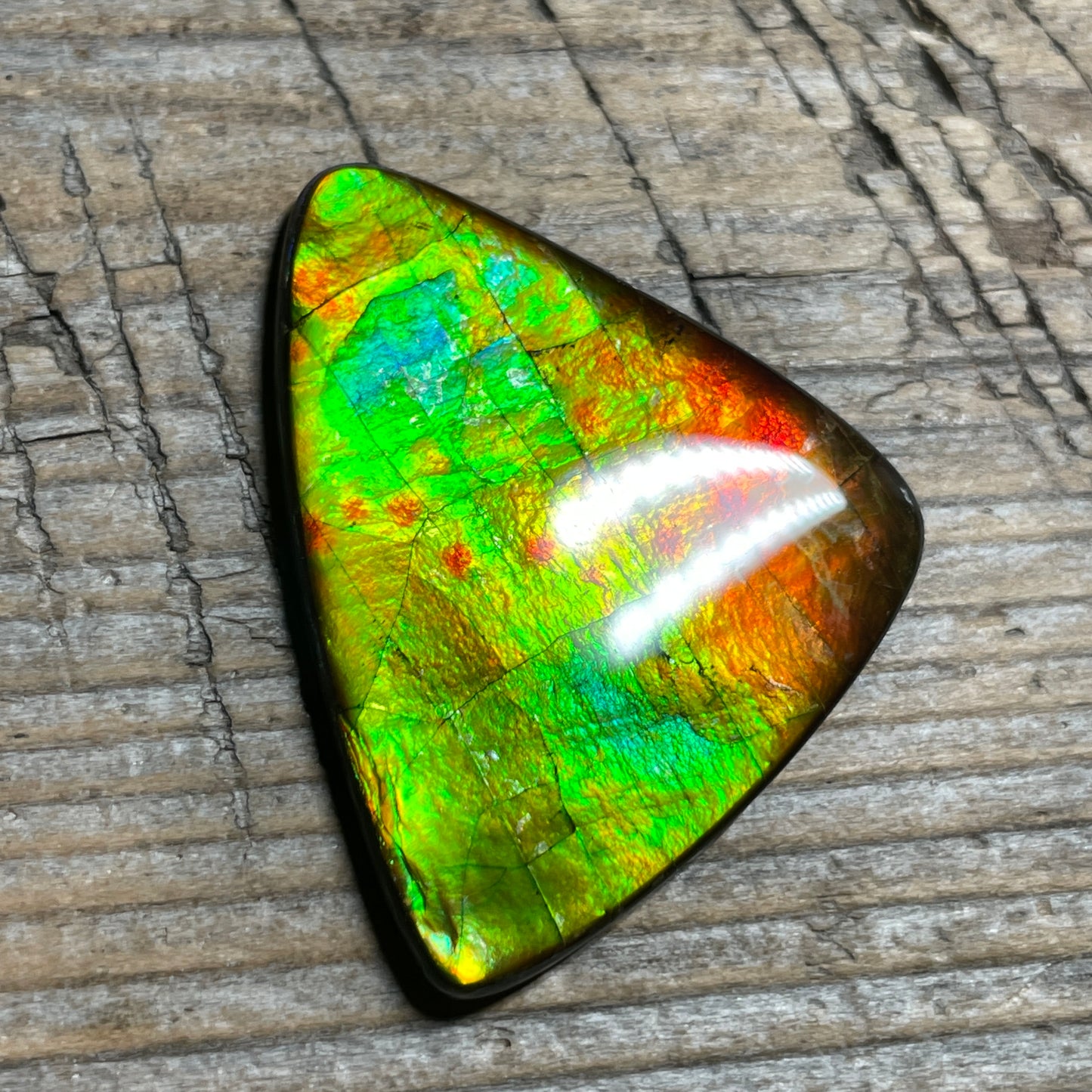 Multicoloured Ammolite Cabochon, Genuine Canadian Ammonite