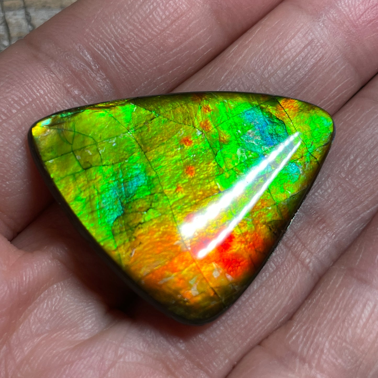 Multicoloured Ammolite Cabochon, Genuine Canadian Ammonite