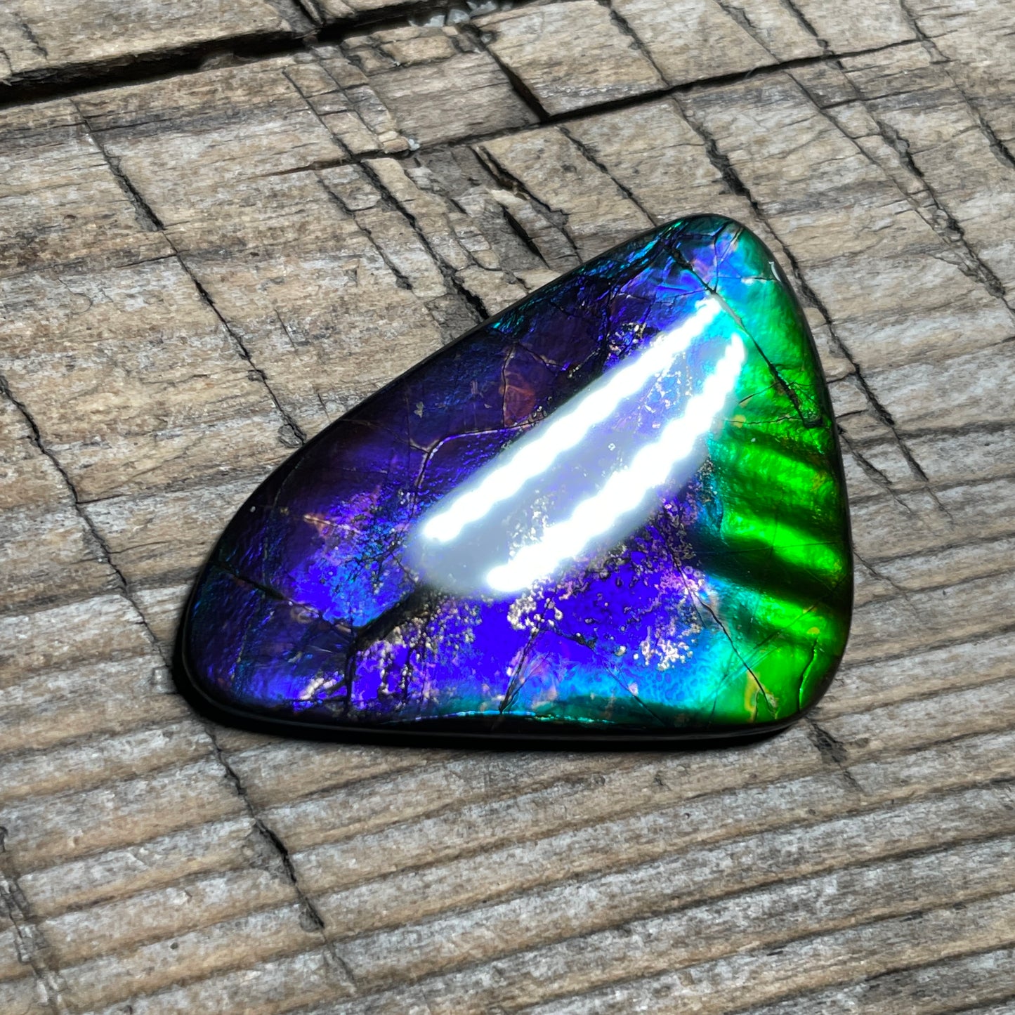 Purple Blue Green Purple Ammolite Gemstone Cabochon Freeform Canadian Ammonite FossilP (Copy)