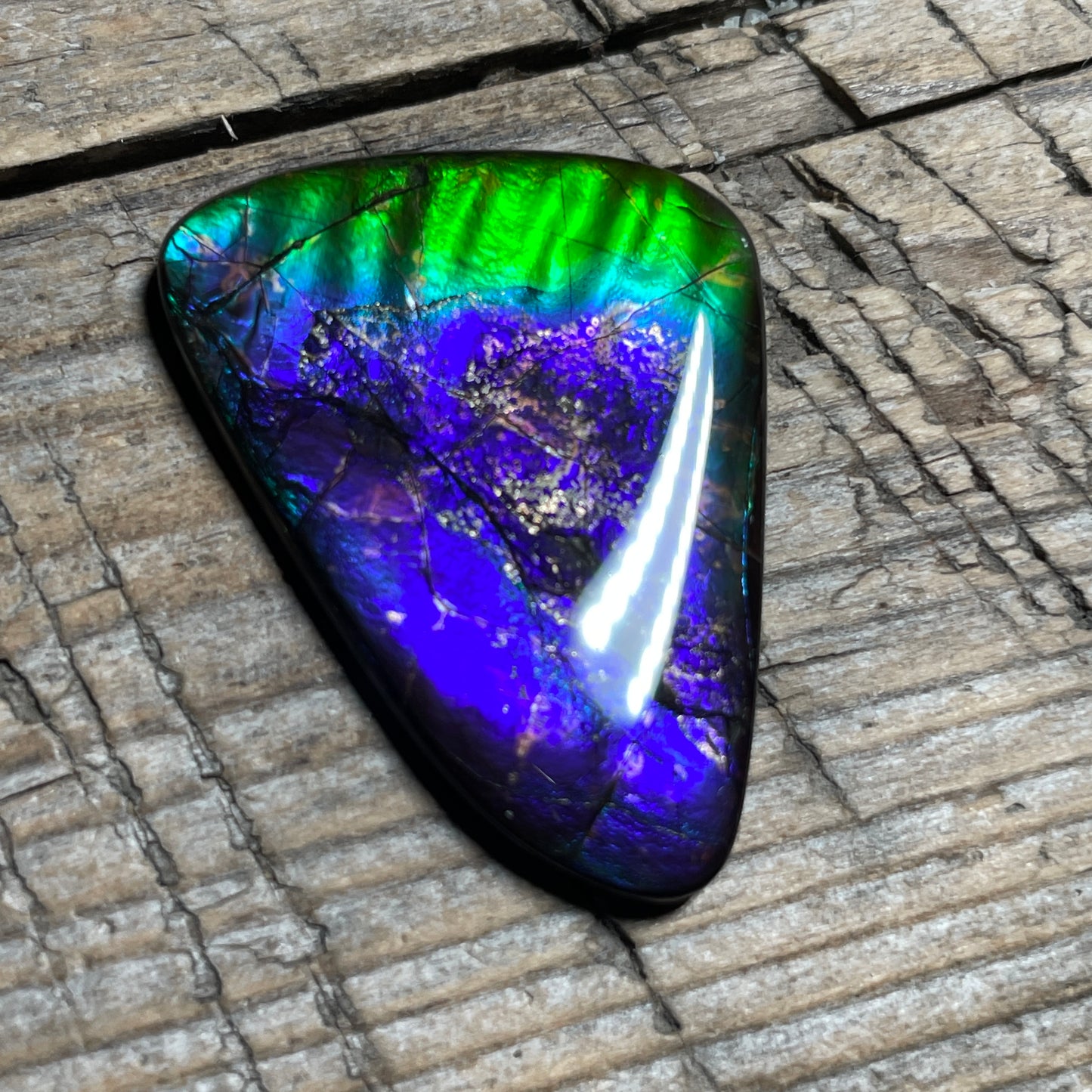 Purple Blue Green Purple Ammolite Gemstone Cabochon Freeform Canadian Ammonite FossilP (Copy)