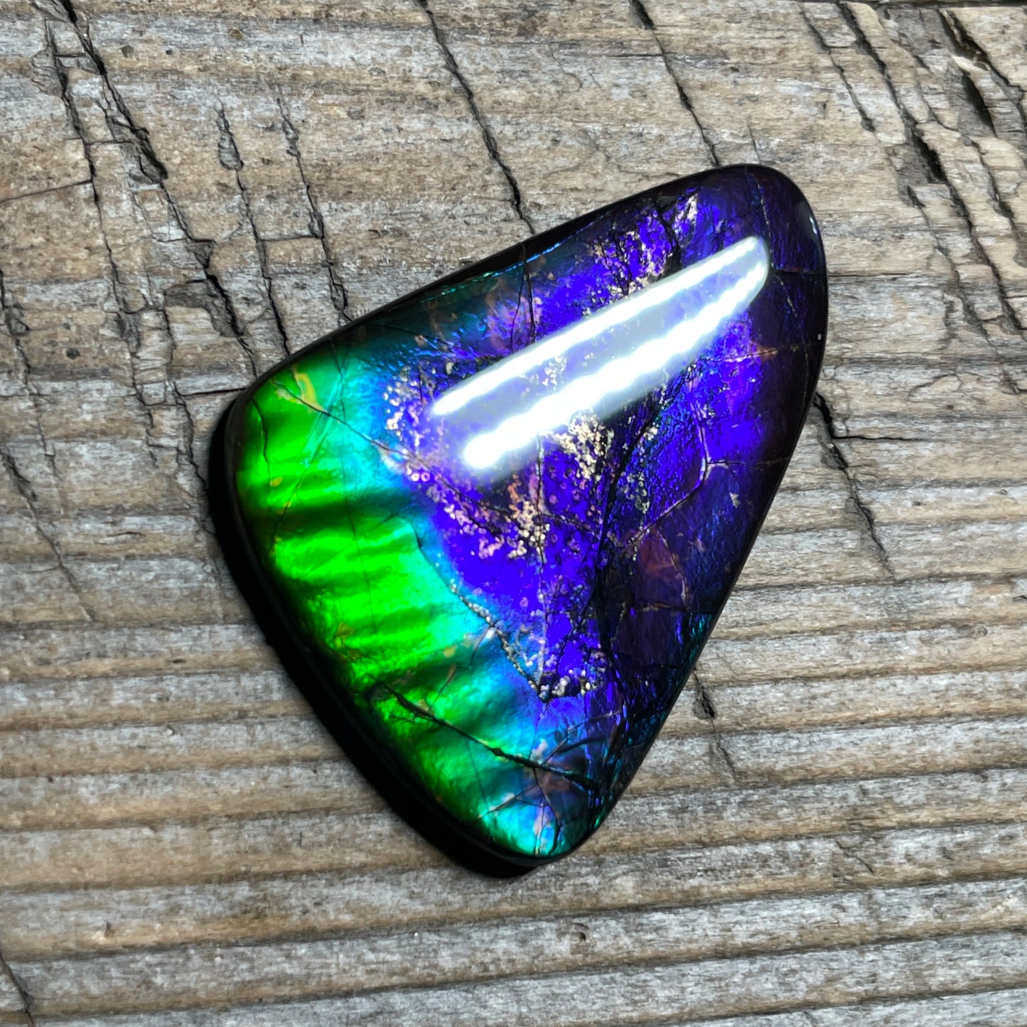Purple Blue Green Purple Ammolite Gemstone Cabochon Freeform Canadian Ammonite FossilP (Copy)