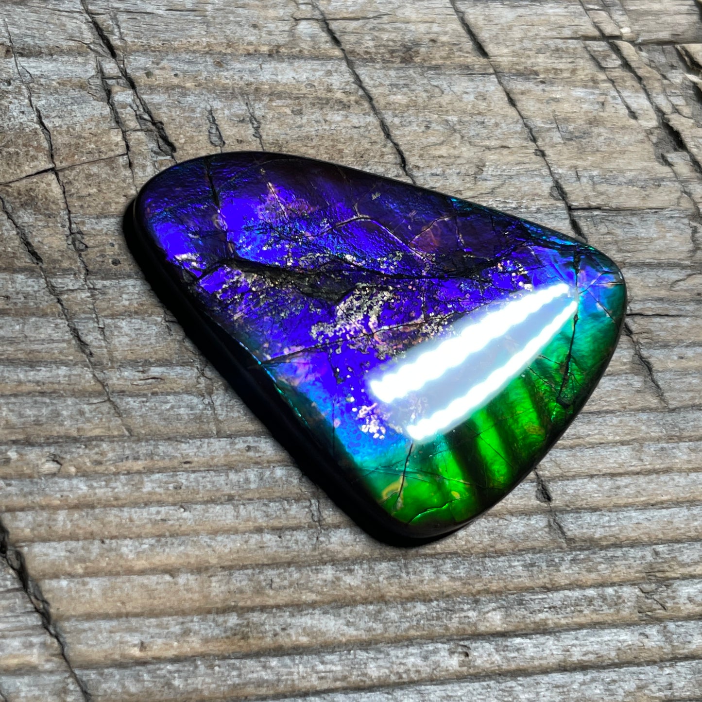 Purple Blue Green Purple Ammolite Gemstone Cabochon Freeform Canadian Ammonite FossilP (Copy)