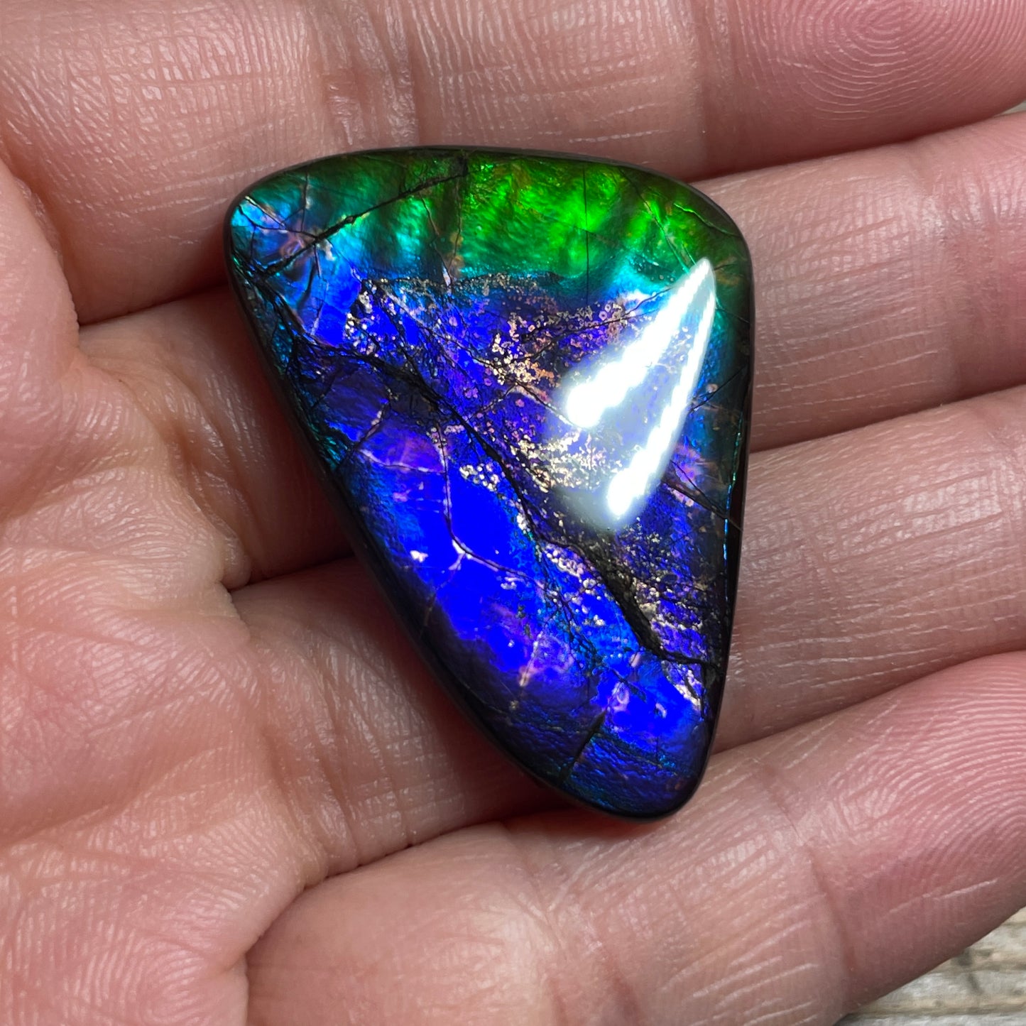 Purple Blue Green Purple Ammolite Gemstone Cabochon Freeform Canadian Ammonite FossilP (Copy)