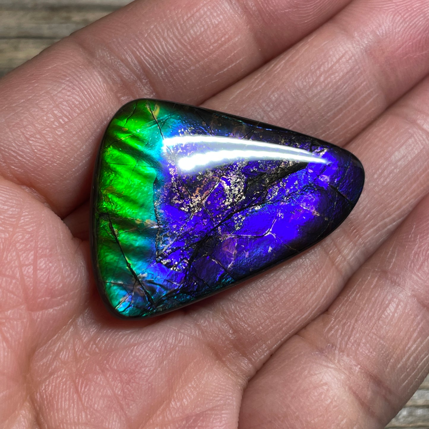 Purple Blue Green Purple Ammolite Gemstone Cabochon Freeform Canadian Ammonite FossilP (Copy)