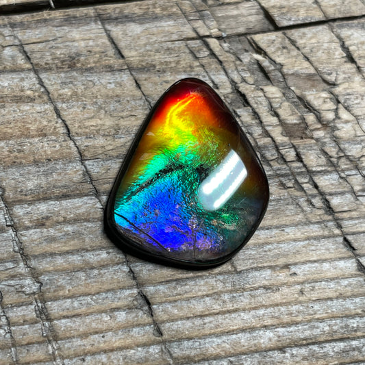 Small Ammolite Freeform Cabochon Coated Natural Rainbow