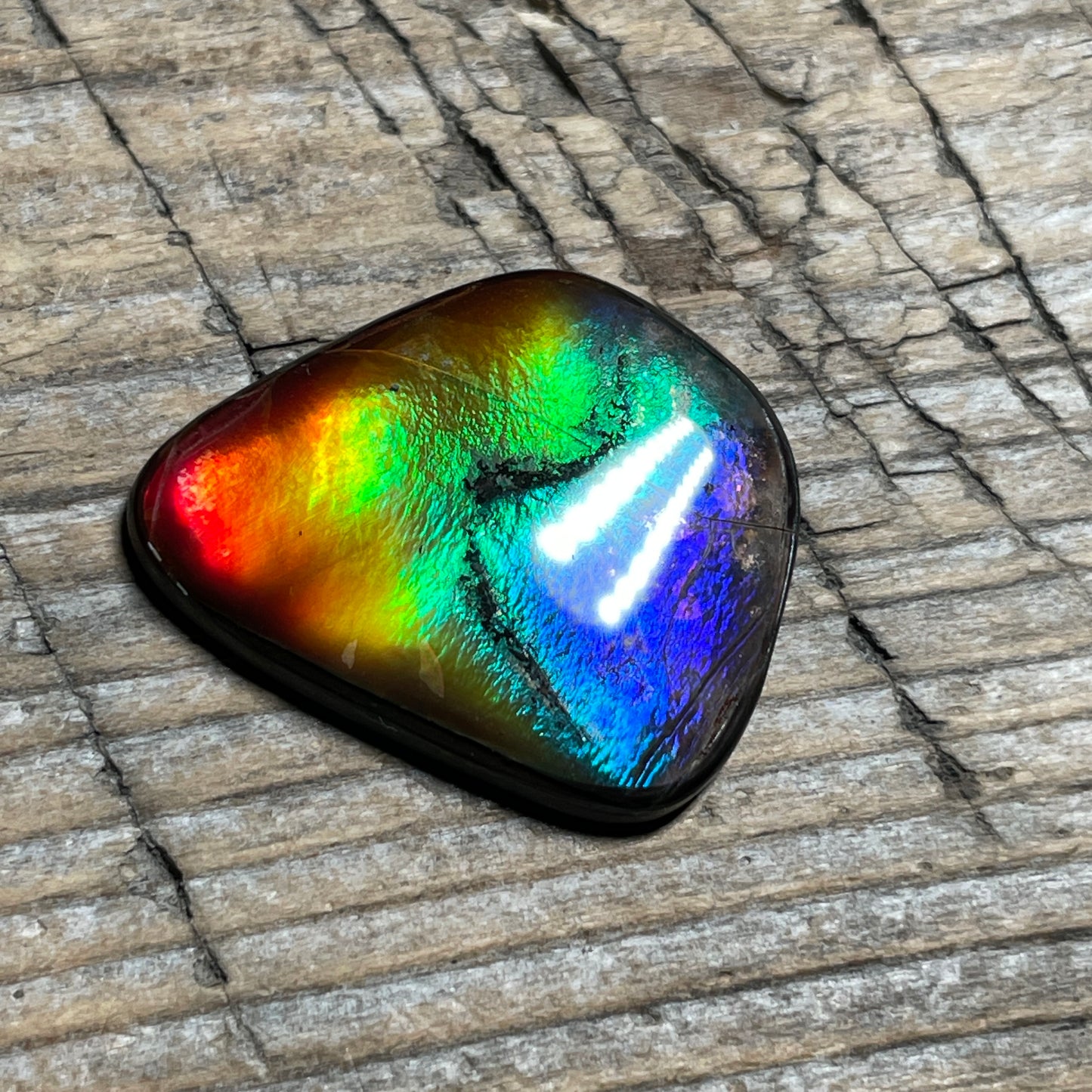 Small Ammolite Freeform Cabochon Coated Natural Rainbow