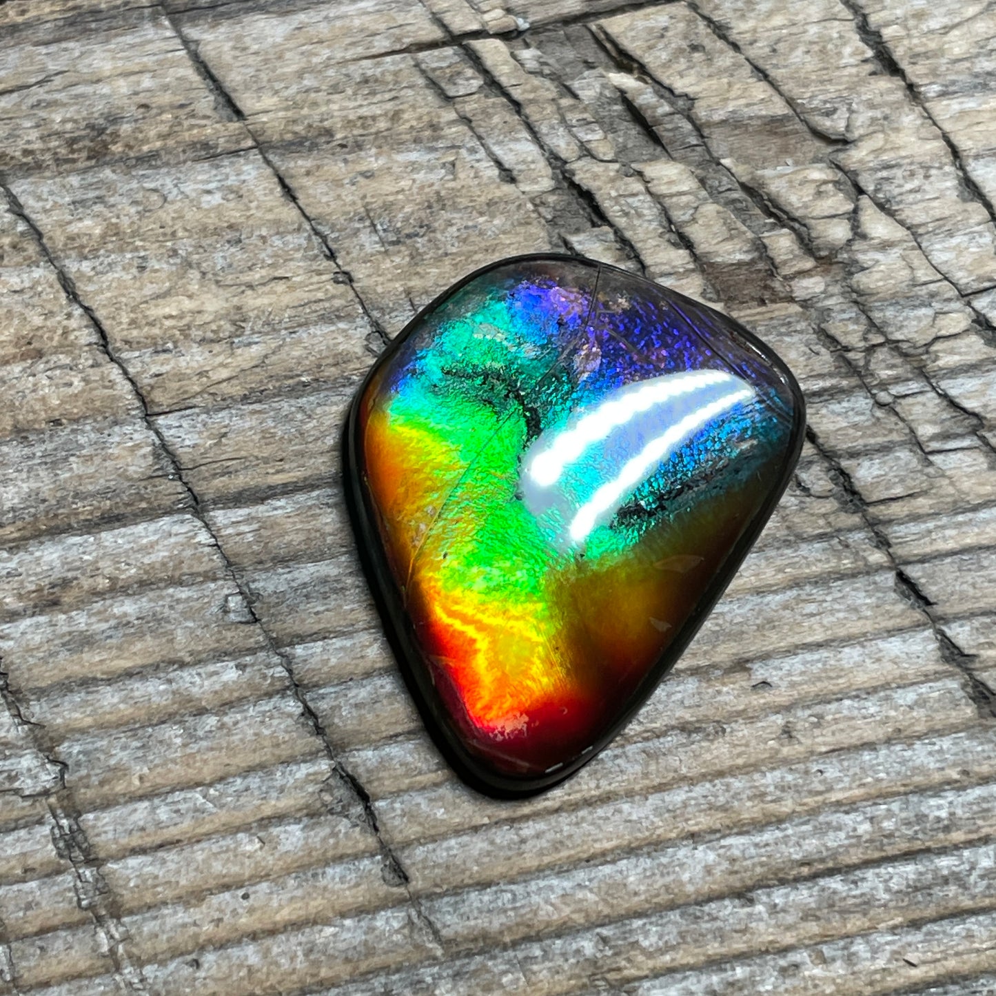 Small Ammolite Freeform Cabochon Coated Natural Rainbow