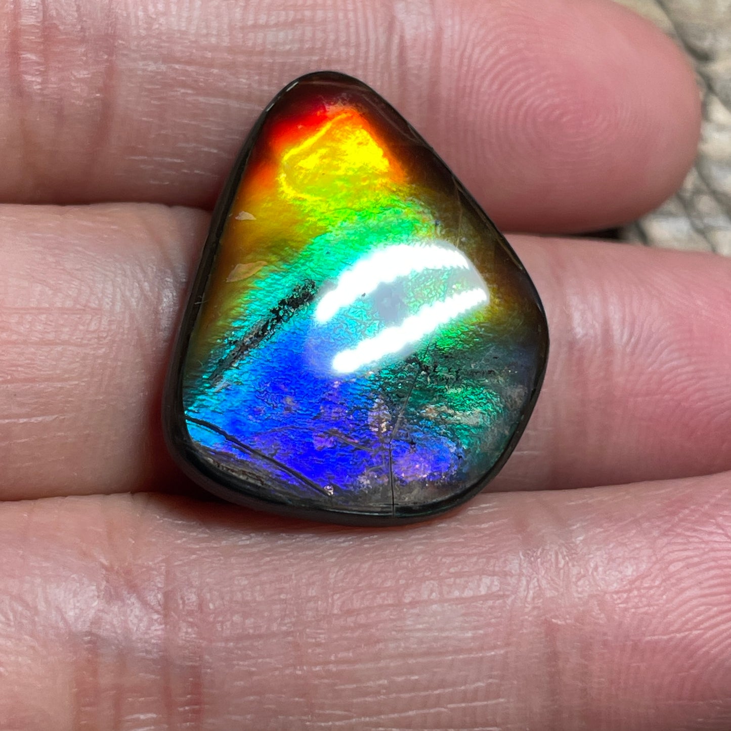 Small Ammolite Freeform Cabochon Coated Natural Rainbow