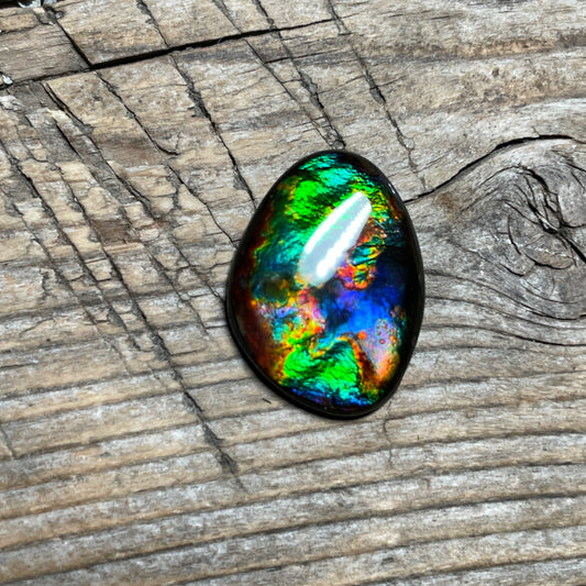 Rare Pattern Ammolite Gemstone, Freeform Cabochon, Canadian Ammonite Fossil