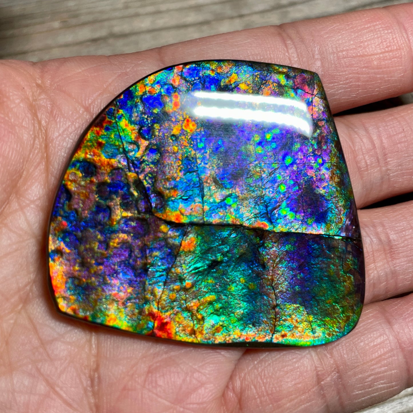 Large Rare Floral Ammolite Gemstone Natural Freeform