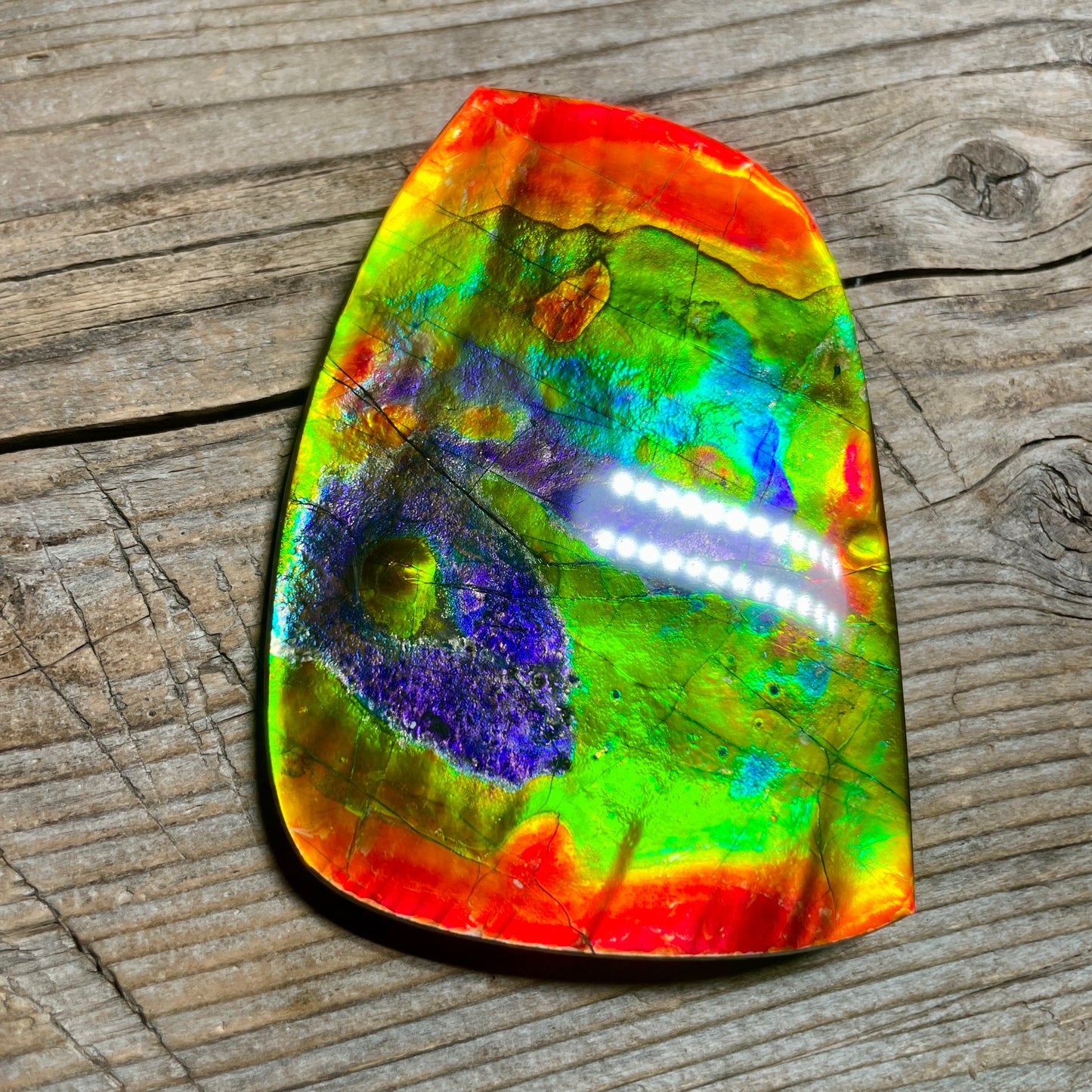 LARGE Ammolite Freeform Cabochon Coated Natural Rainbow