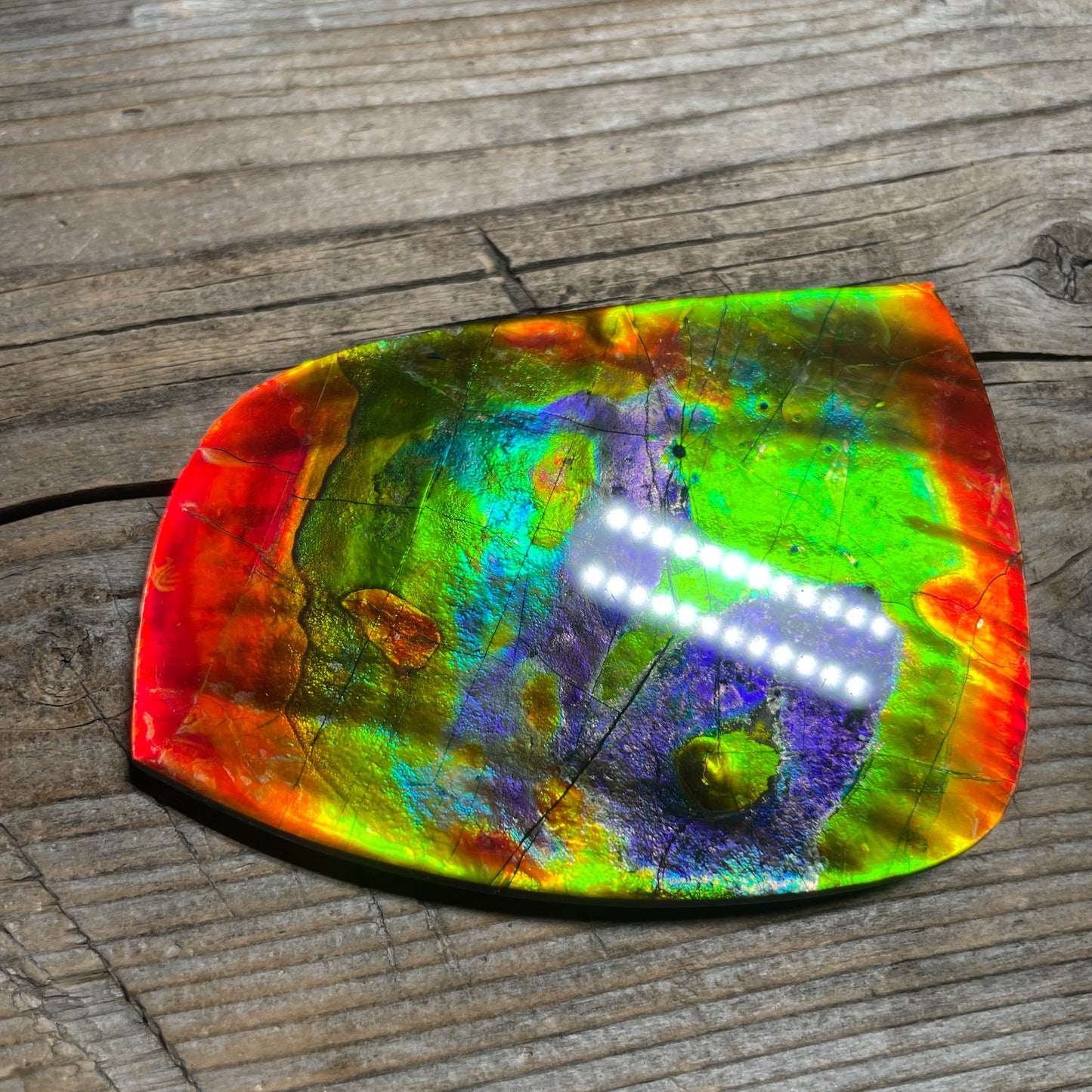 LARGE Ammolite Freeform Cabochon Coated Natural Rainbow