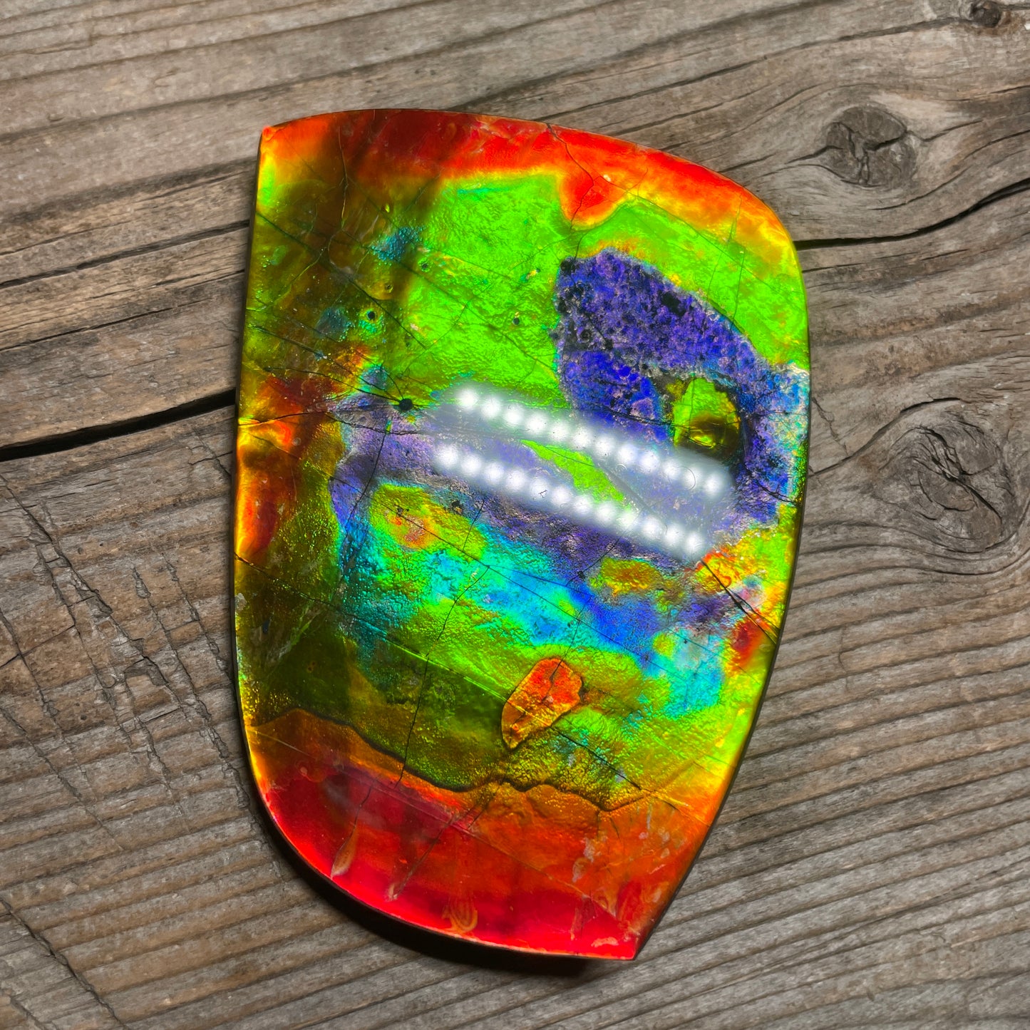 LARGE Ammolite Freeform Cabochon Coated Natural Rainbow
