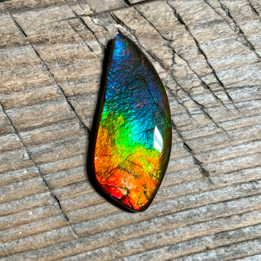 Rainbow Ammolite Freeform Cabochon Coated Natural