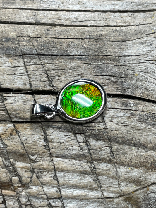 Ammonite Pendant Sterling 925 Silver Gold Green TJ1013