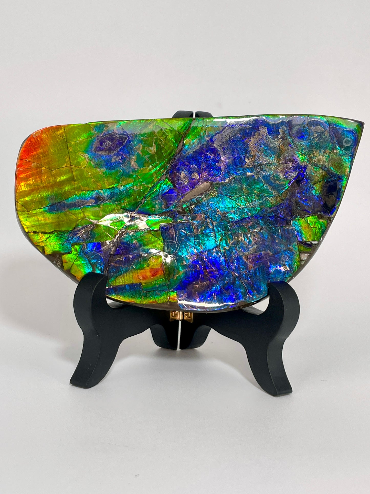 Polished Ammolite Display Gem quality Iron Pyrite TD1019