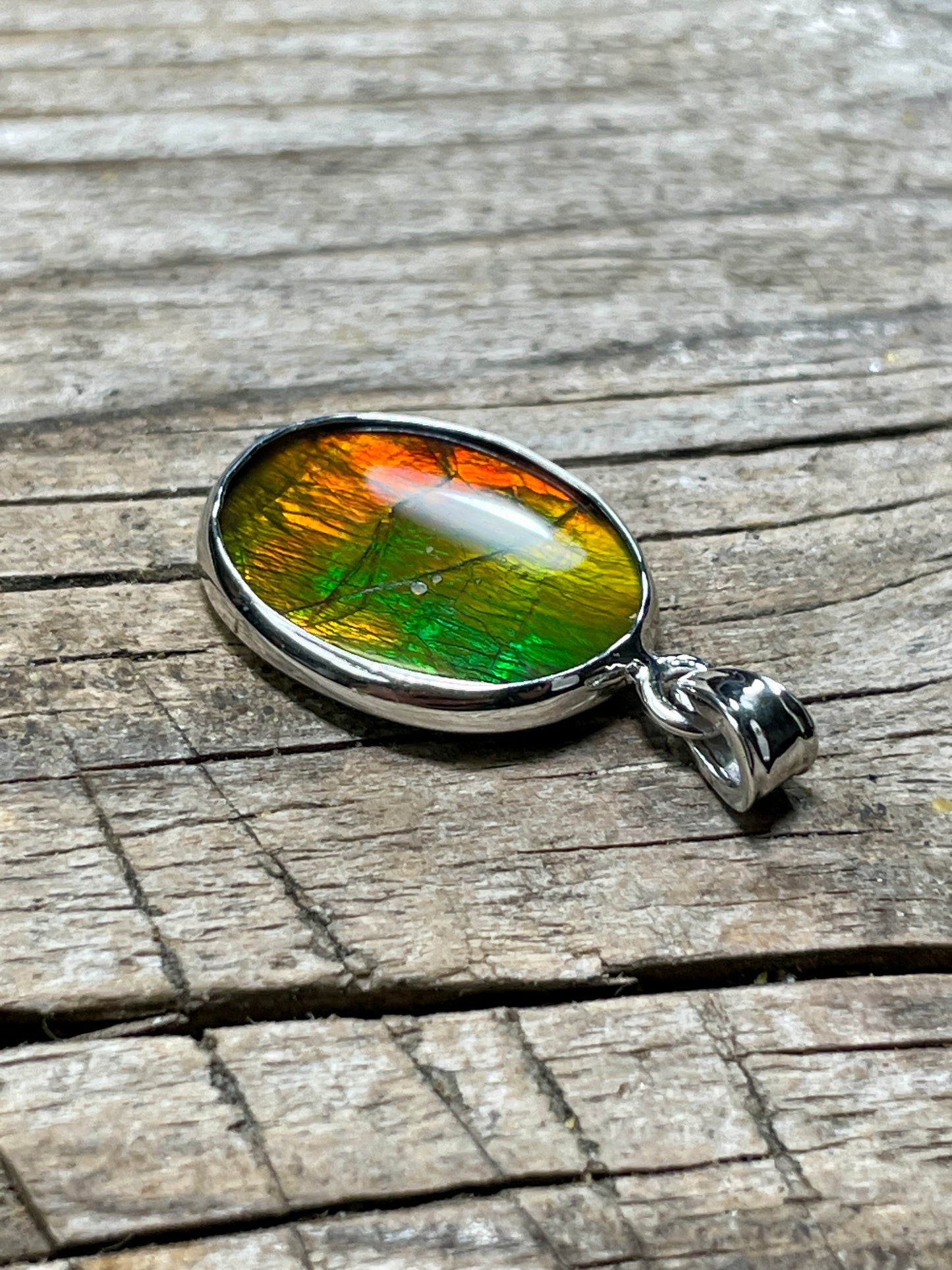 Ammonite Pendant Sterling 925 Silver Gold Red TJ1006