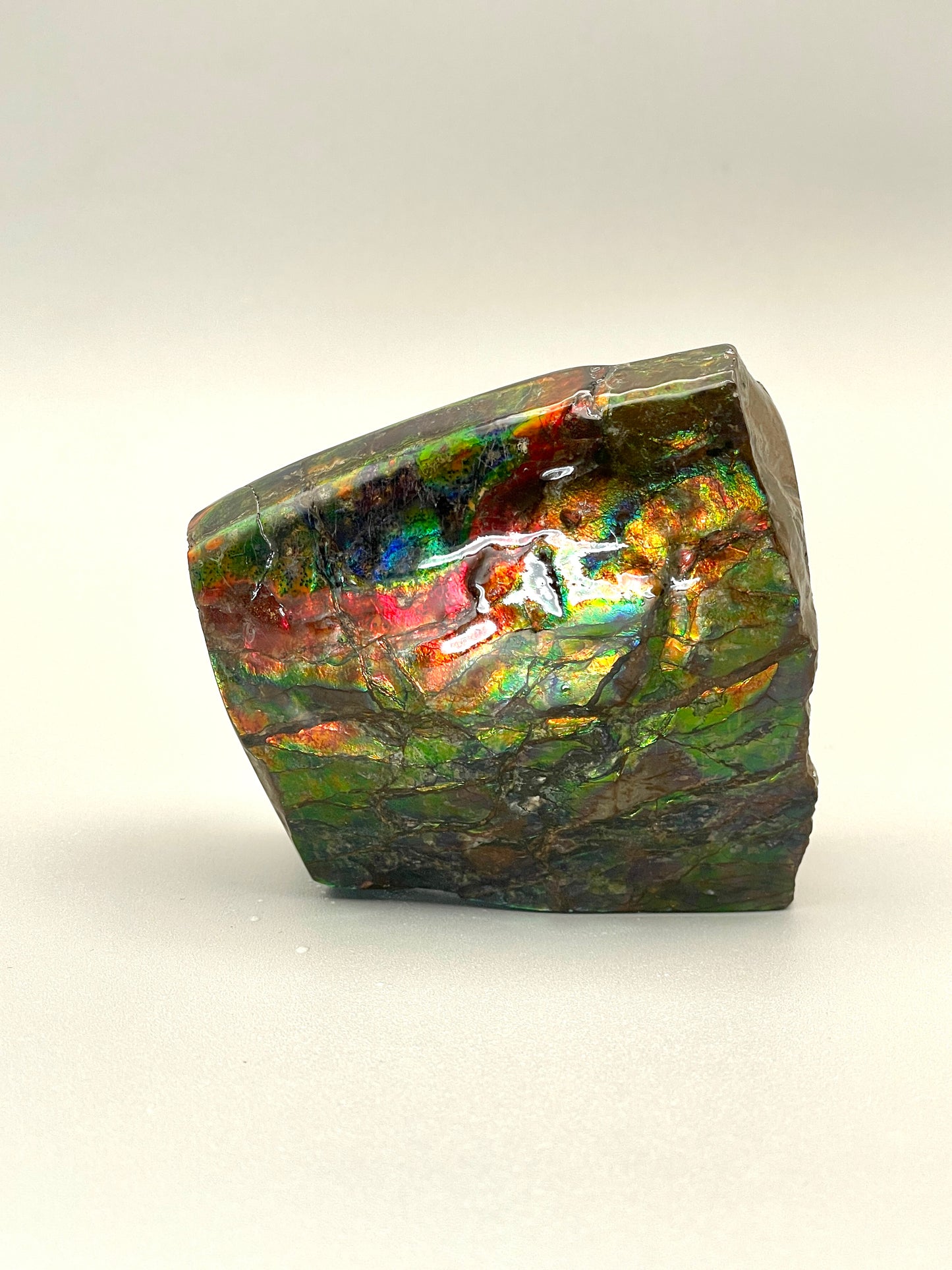 3 Sided Rainbow Ammolite Display Alberta Ammonite Fossil TD1012