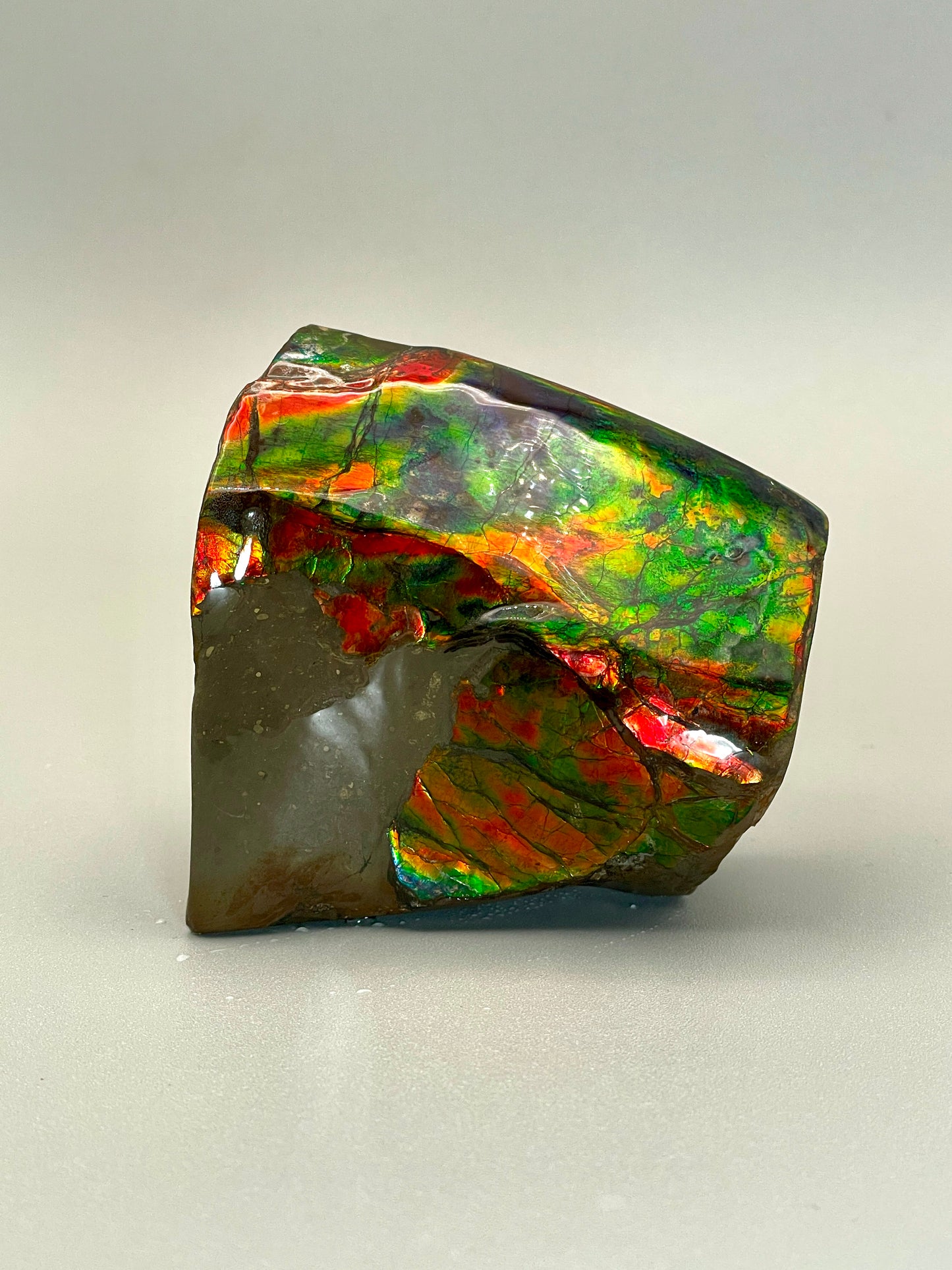 3 Sided Rainbow Ammolite Display Alberta Ammonite Fossil TD1012