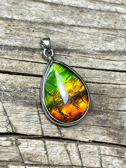 Ammonite Pendant Sterling 925 Silver Teardrop TJ1003