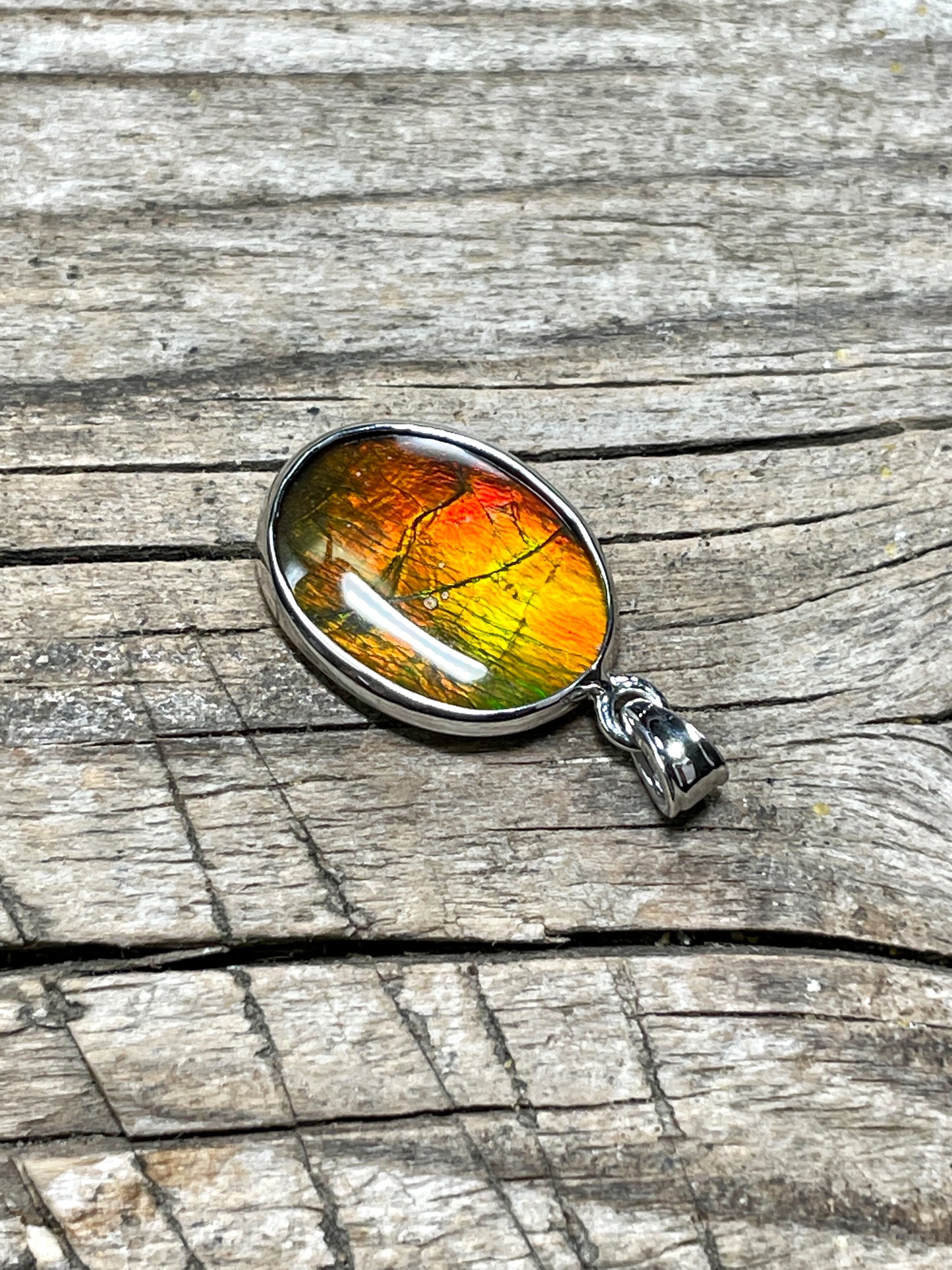 Ammonite Pendant Sterling 925 Silver Gold Red TJ1006