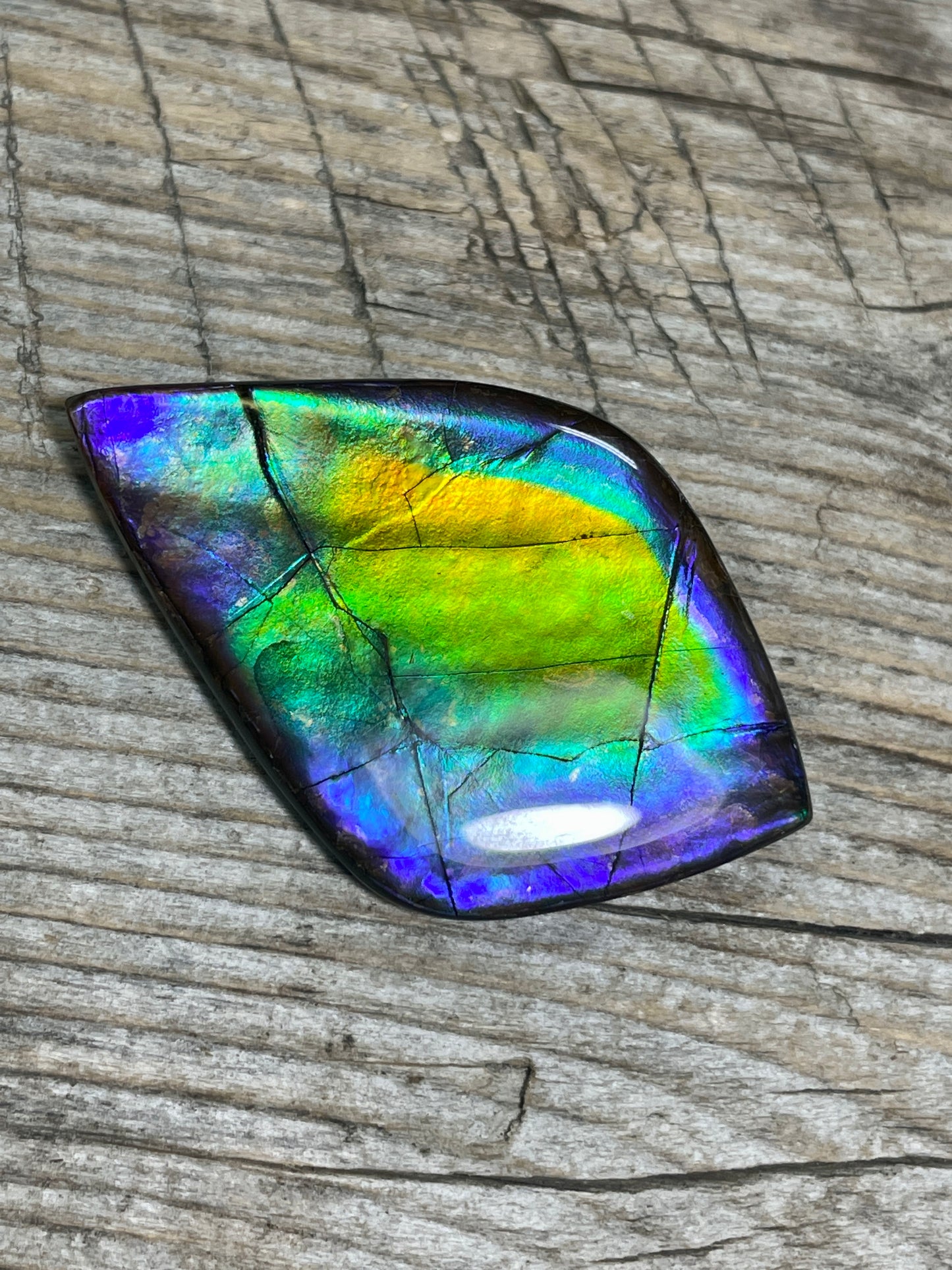 Large Ammolite Gemstone Cabochon Multicoloured TSA1016 AA