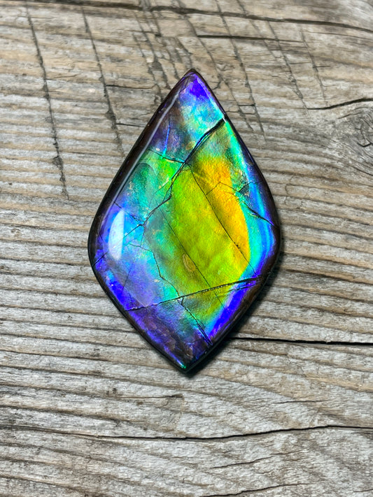 Large Ammolite Gemstone Cabochon Multicoloured TSA1016  AA