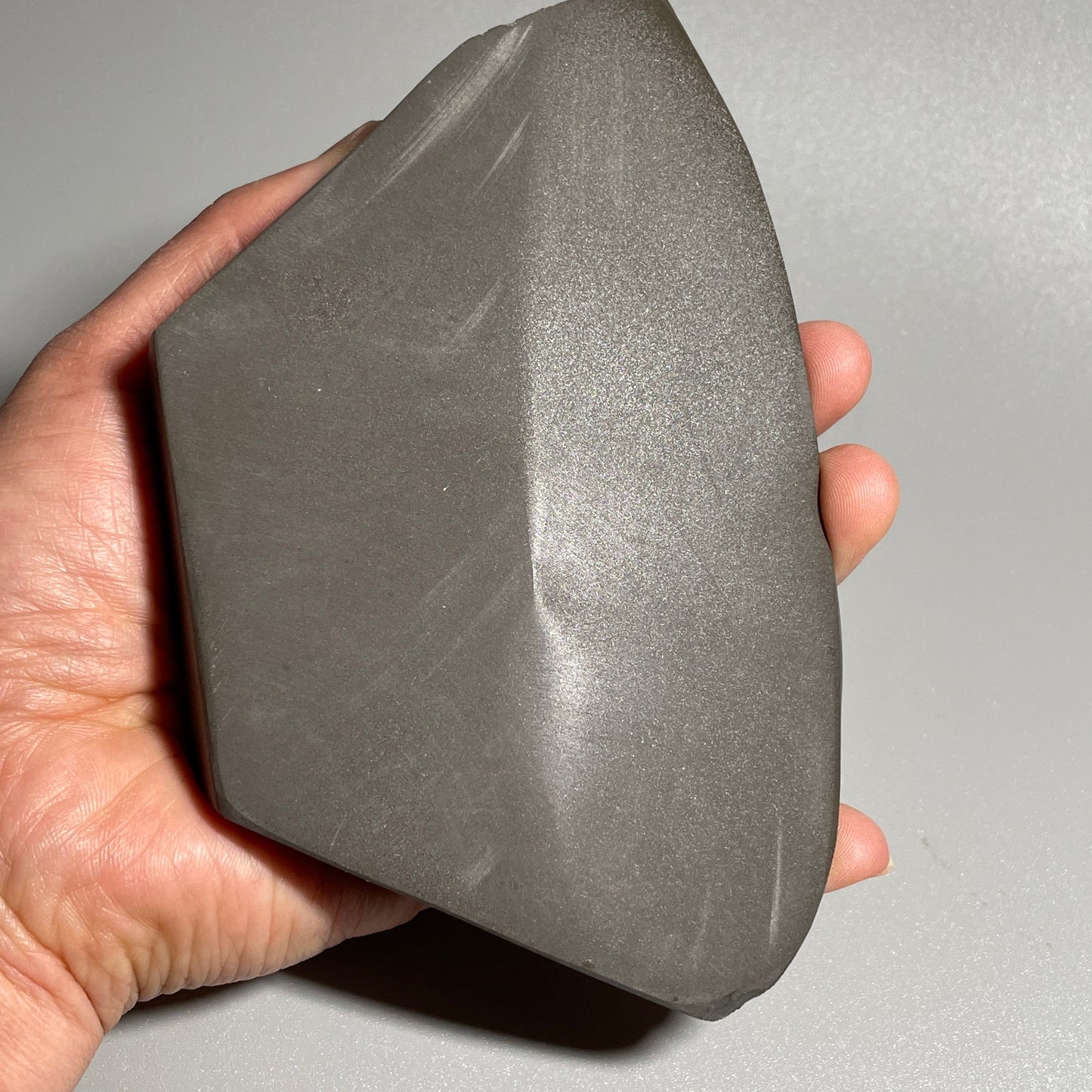 Rainbow Ammolite Display Specimen Dragon Skin Blue Green Ammonite Fossil TSD#1068