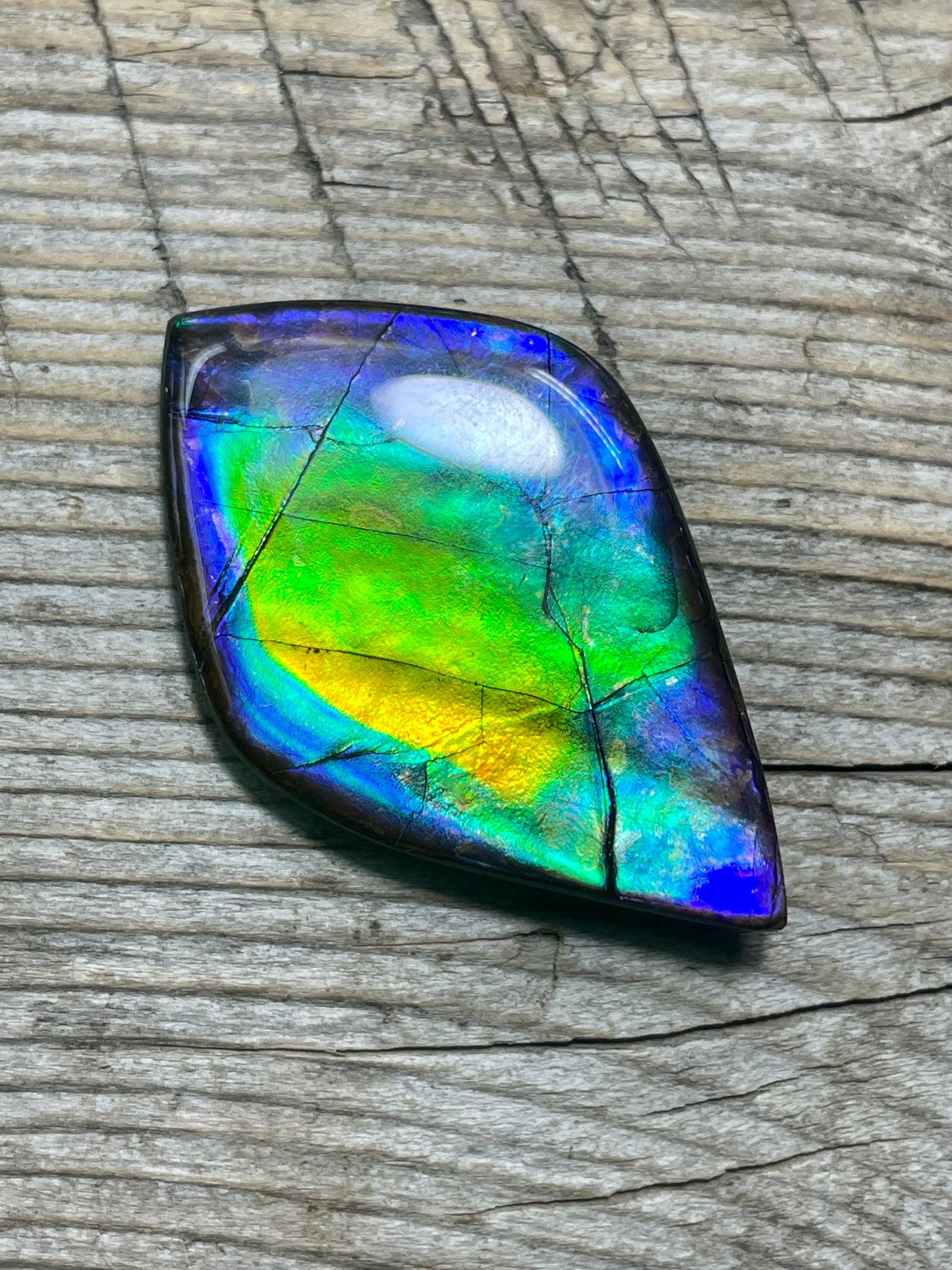 Large Ammolite Gemstone Cabochon Multicoloured TSA1016 AA