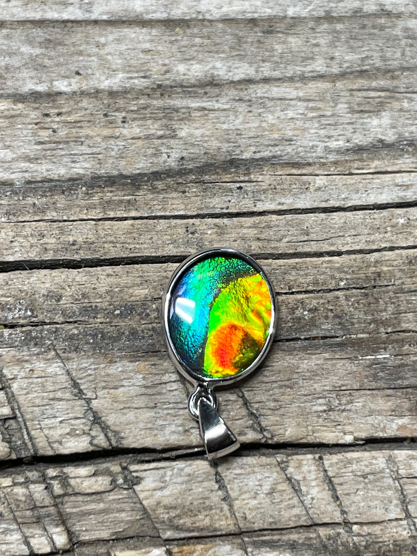 Ammonite Pendant Sterling 925 Silver Multicoloured TJ1005