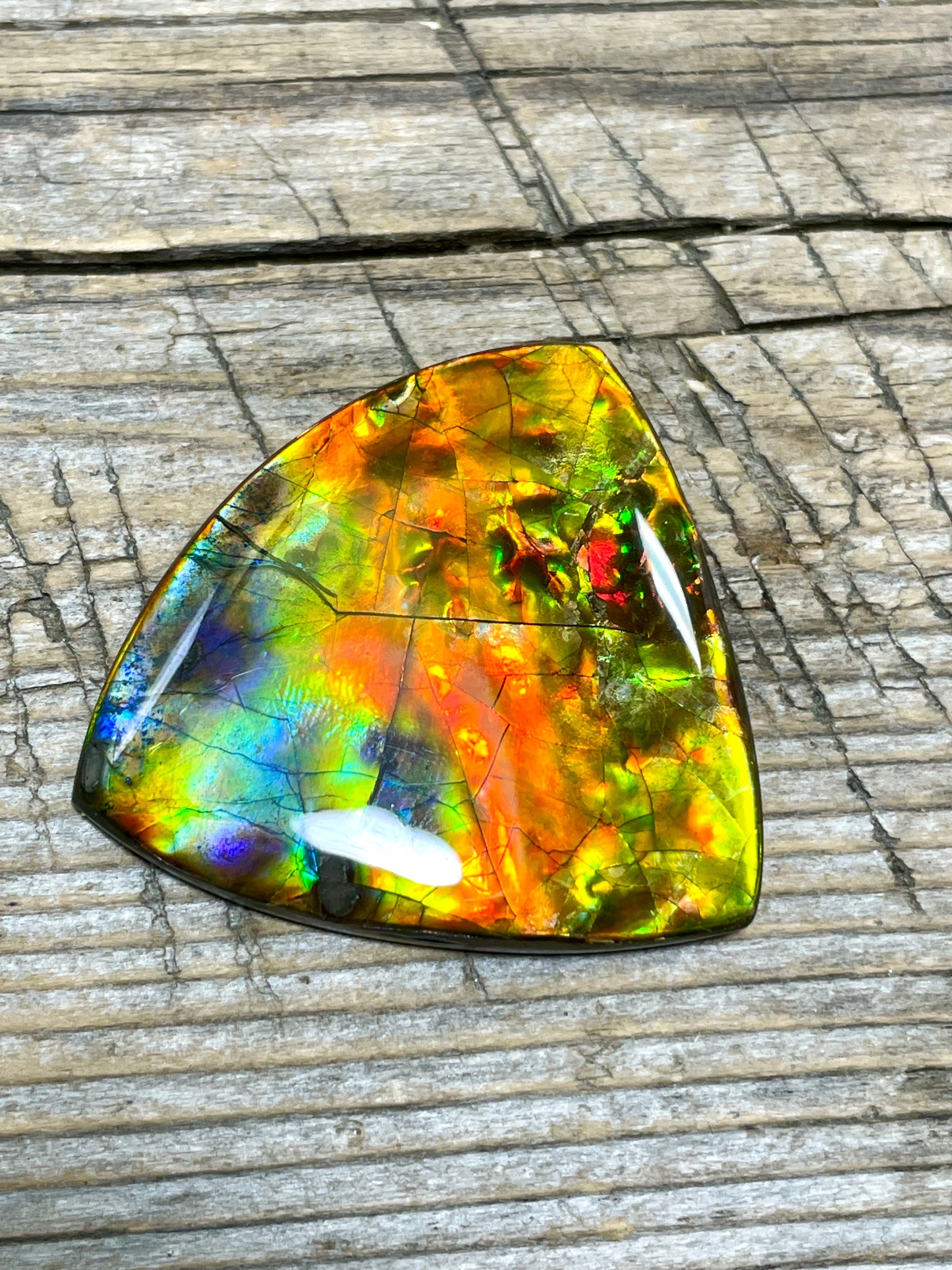 Rainbow Ammolite Freeform Gemstone Cabochon TSA1010 AA+