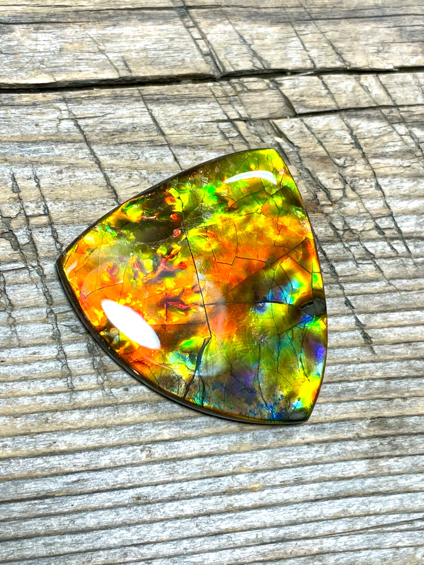 Rainbow Ammolite Freeform Gemstone Cabochon TSA1010 AA+