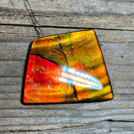 Large Gold Red Ammolite Cabochon Freeform Gemstone TSA1019 A