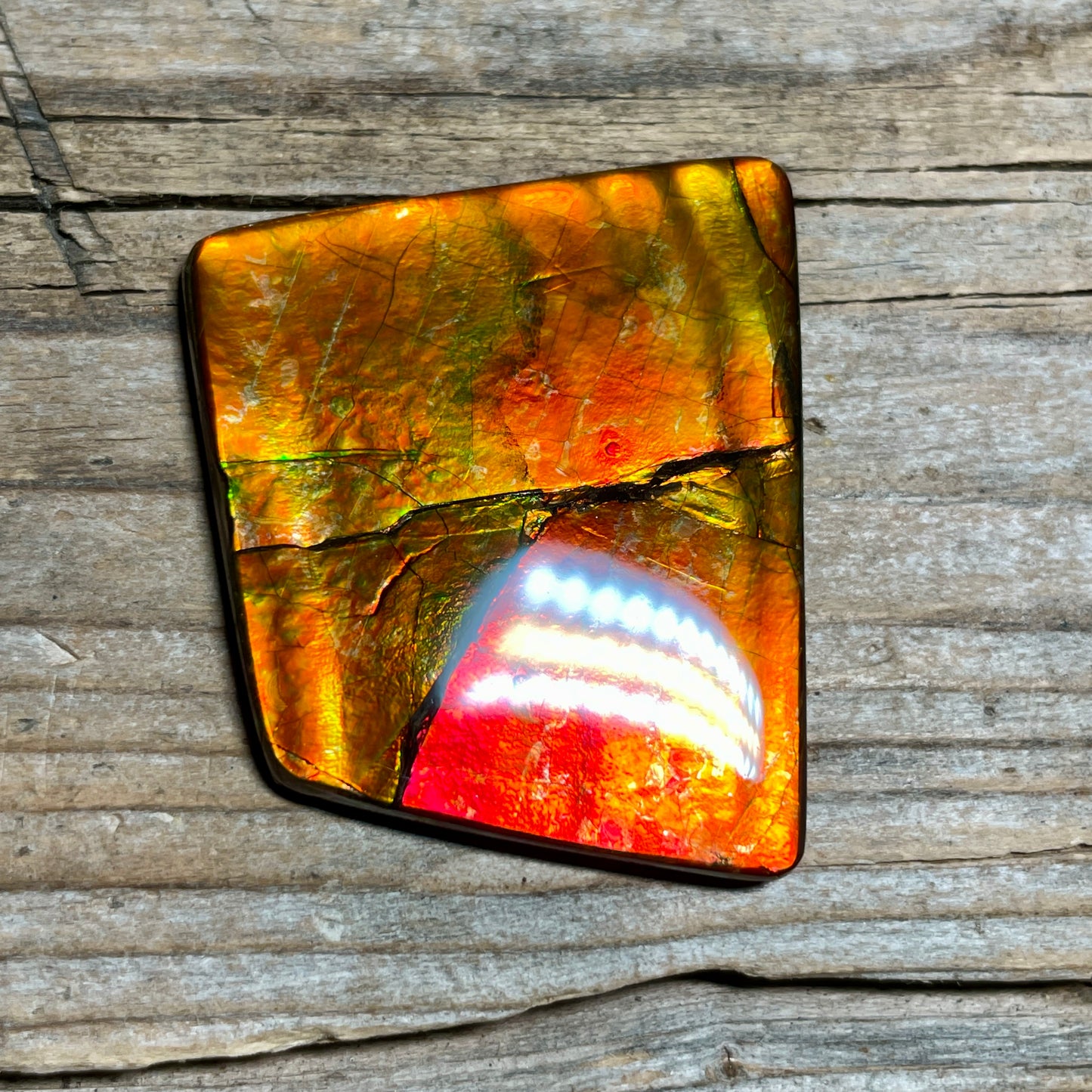 Large Gold Red Ammolite Cabochon Freeform Gemstone TSA1019 A